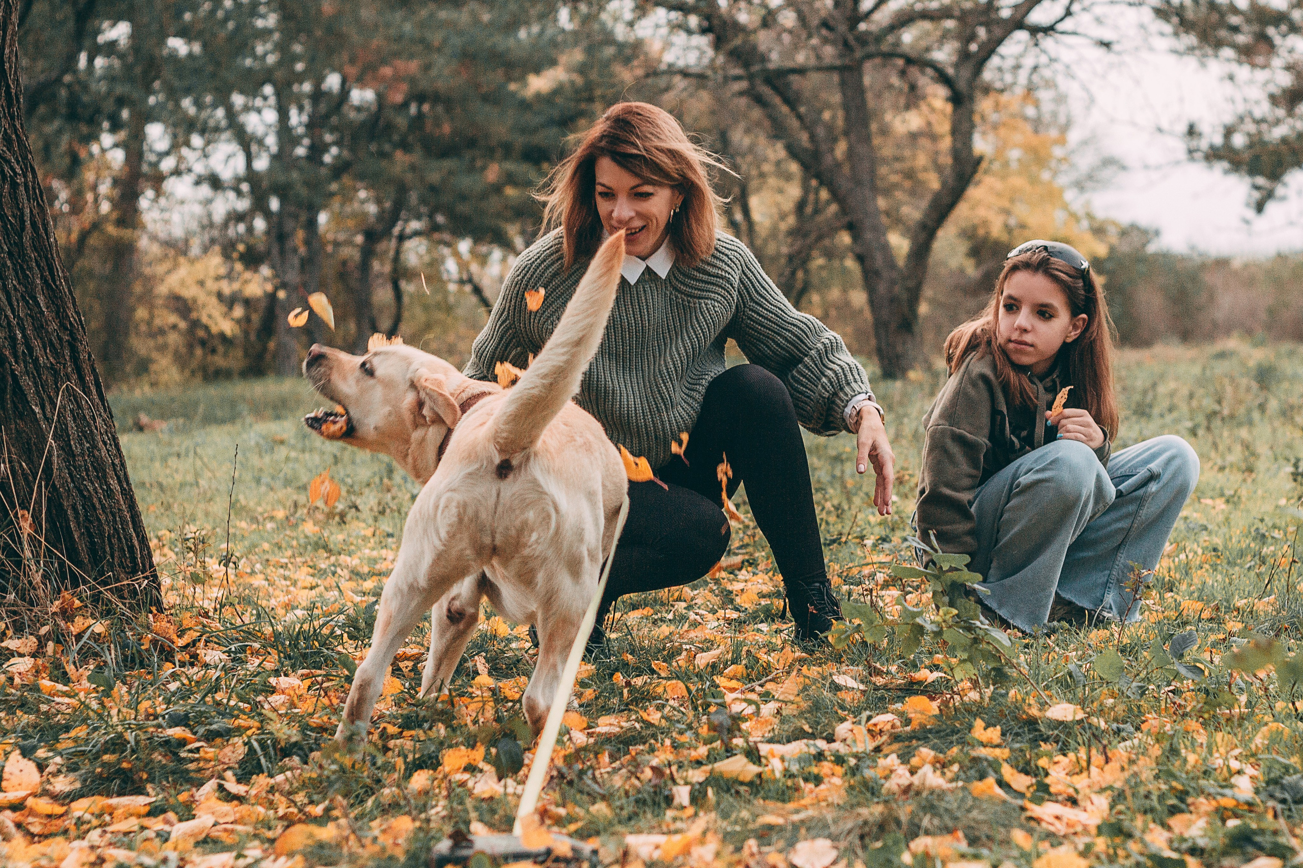 Осенняя прогулка. Семейный фотограф в Ростове-на-Дону Безкишкина Татьяна