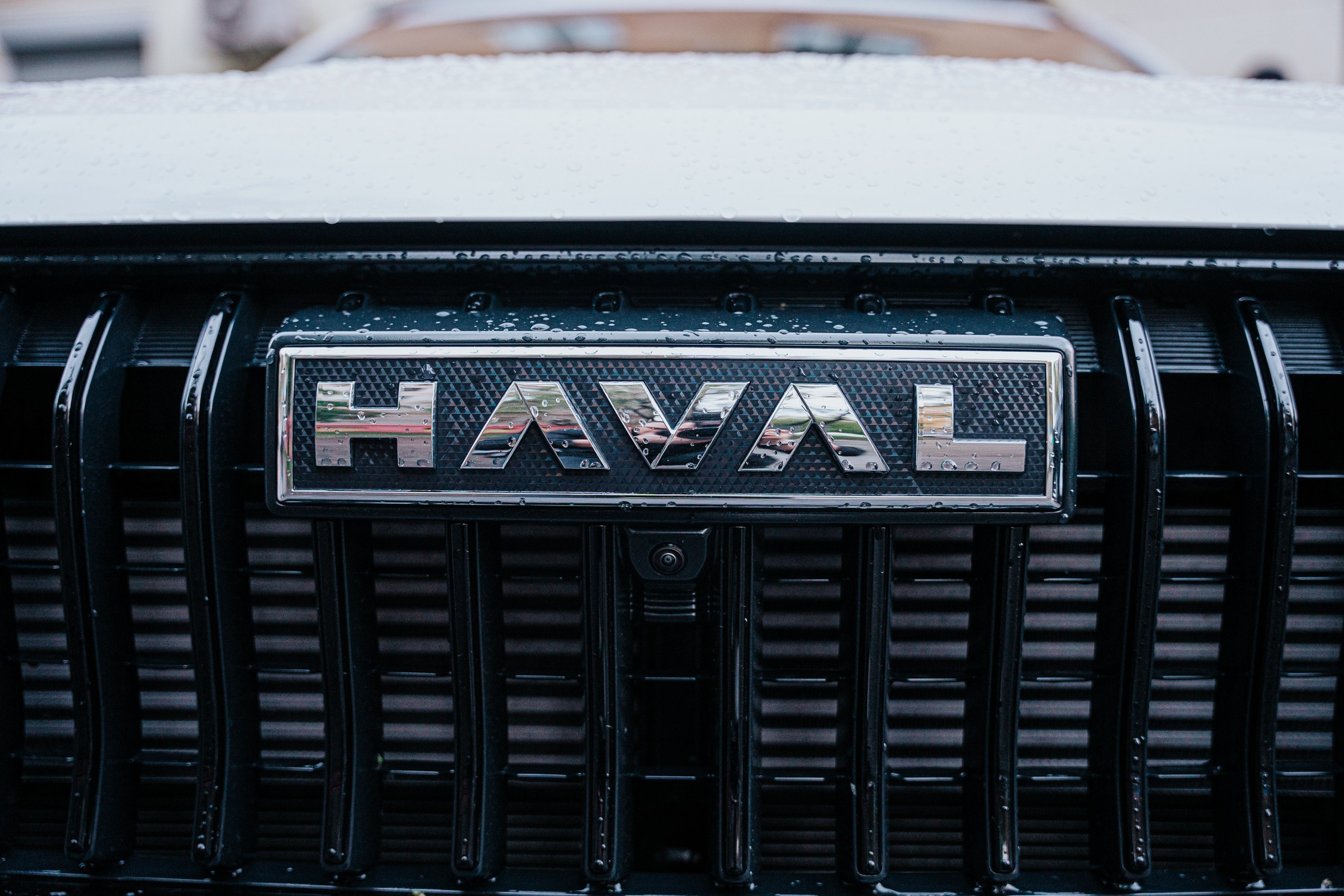 TORDOKI. Фотограф Хабаровск