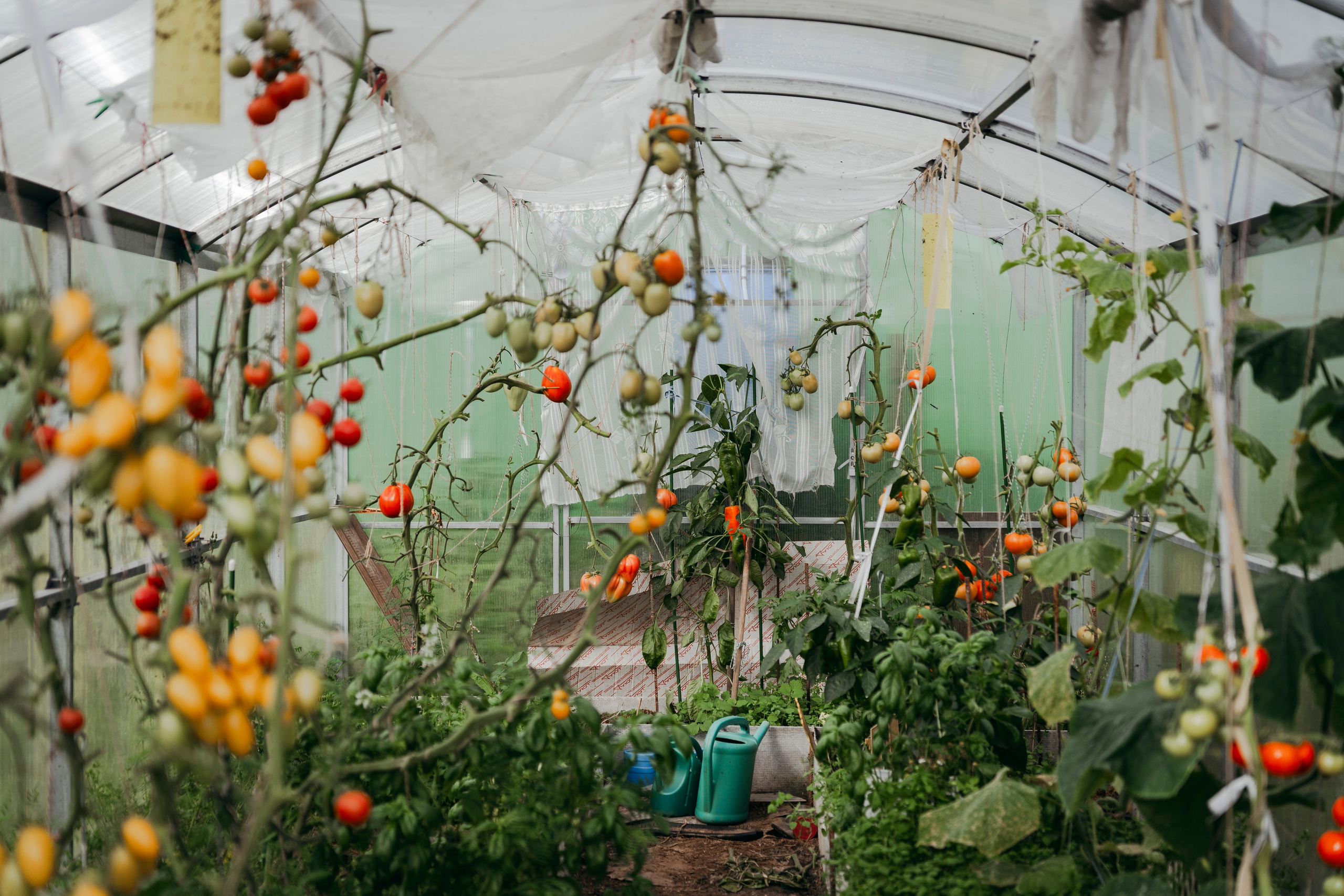 Молчановы. Многолетний проект о молодой семье. Фотограф в Москве Савкина Евгения