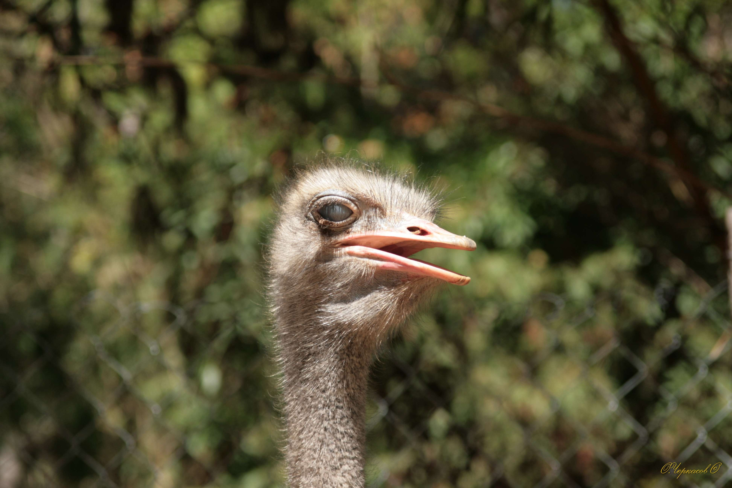 Вьетнам 2008 г. Улица, люди, жизнь…