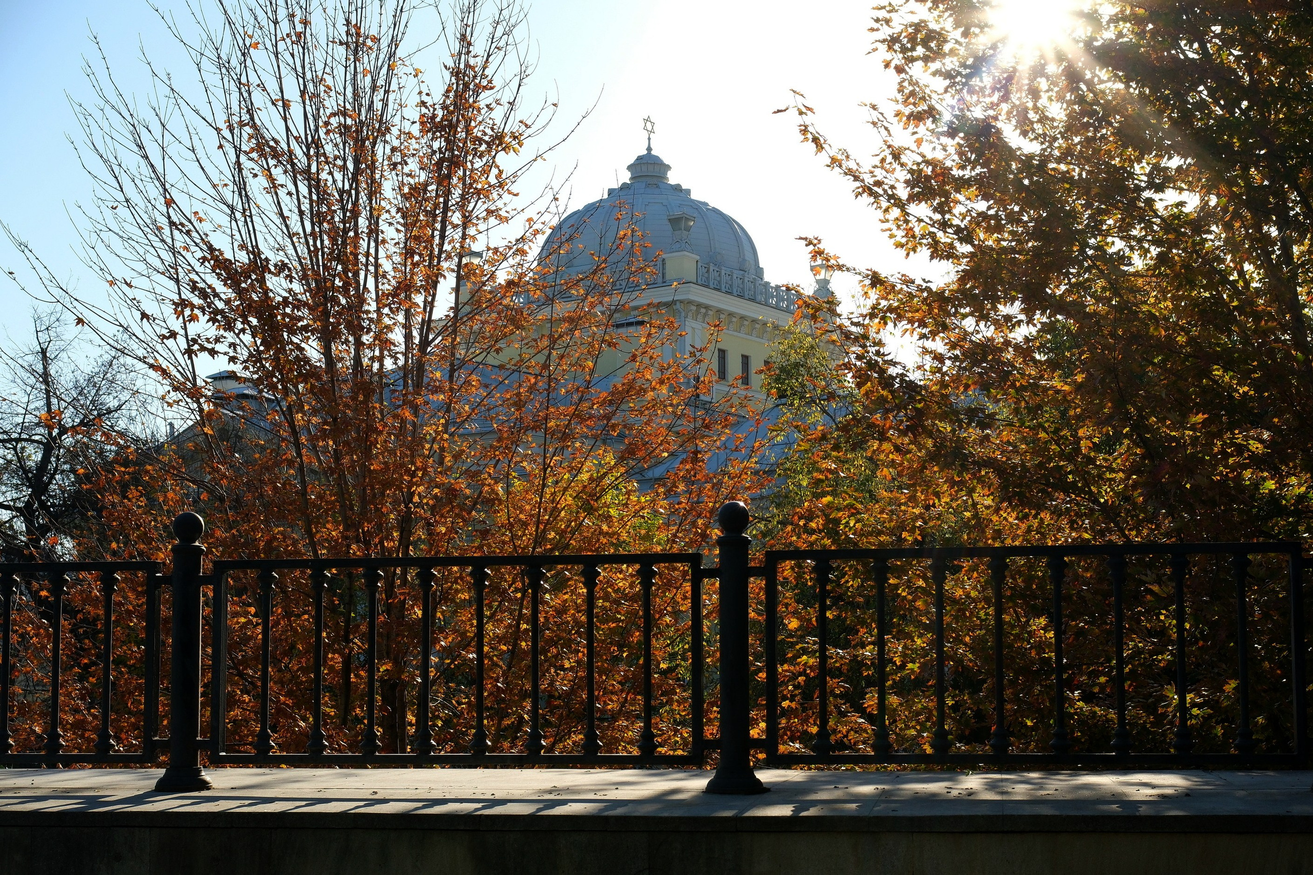 Улица, люди, жизнь…