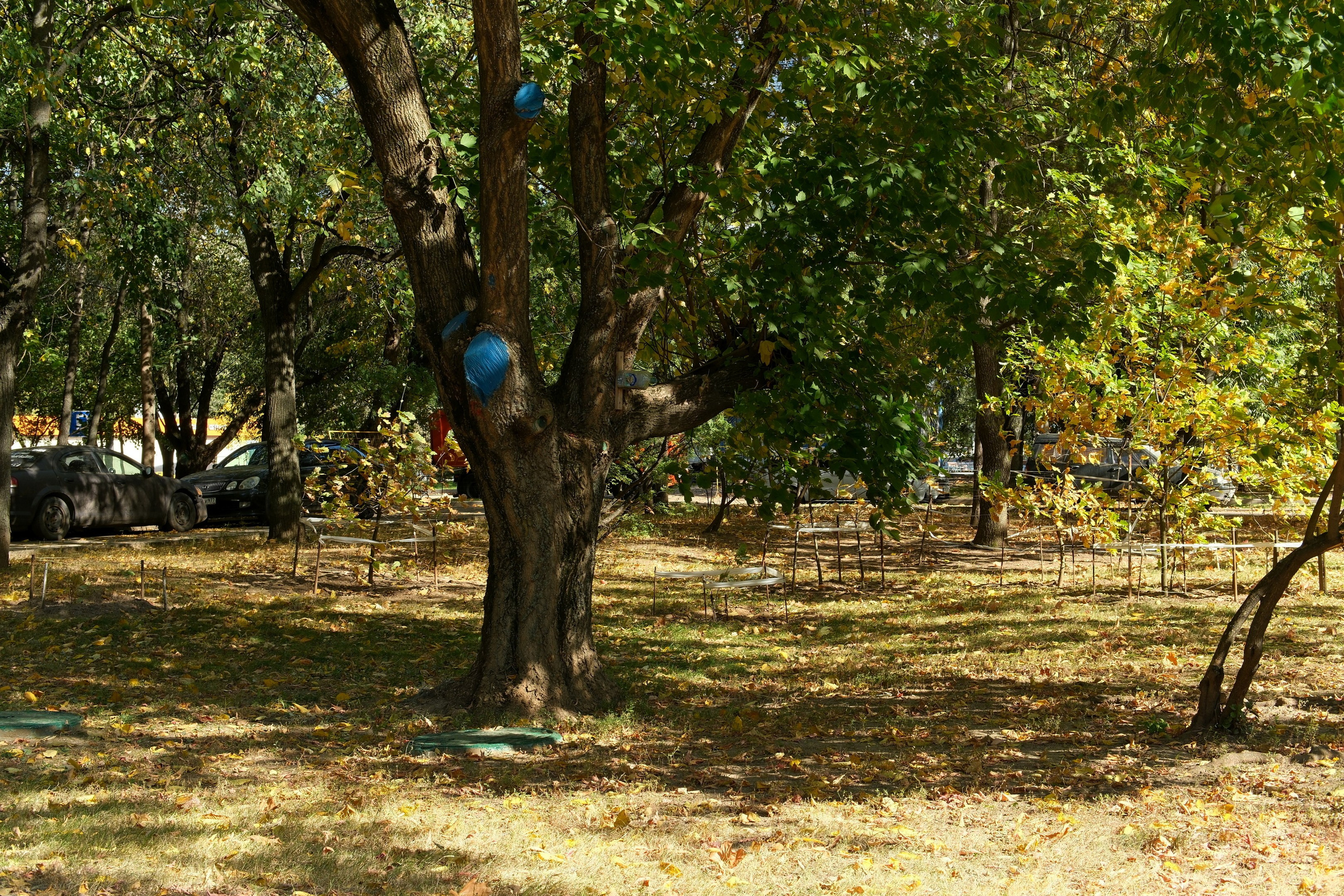 Сентябрь 2025. Улица, люди, жизнь…