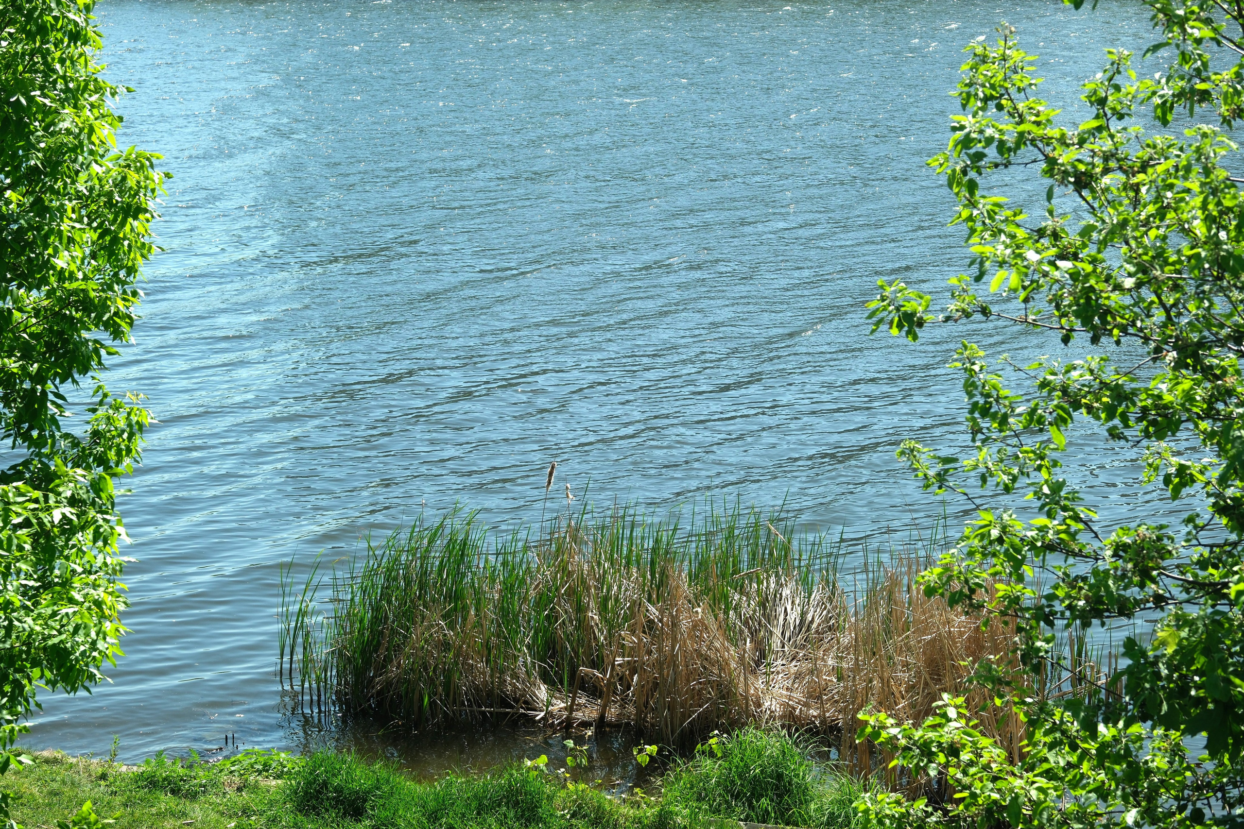 Парк 850 лет Москве. Улица, люди, жизнь…