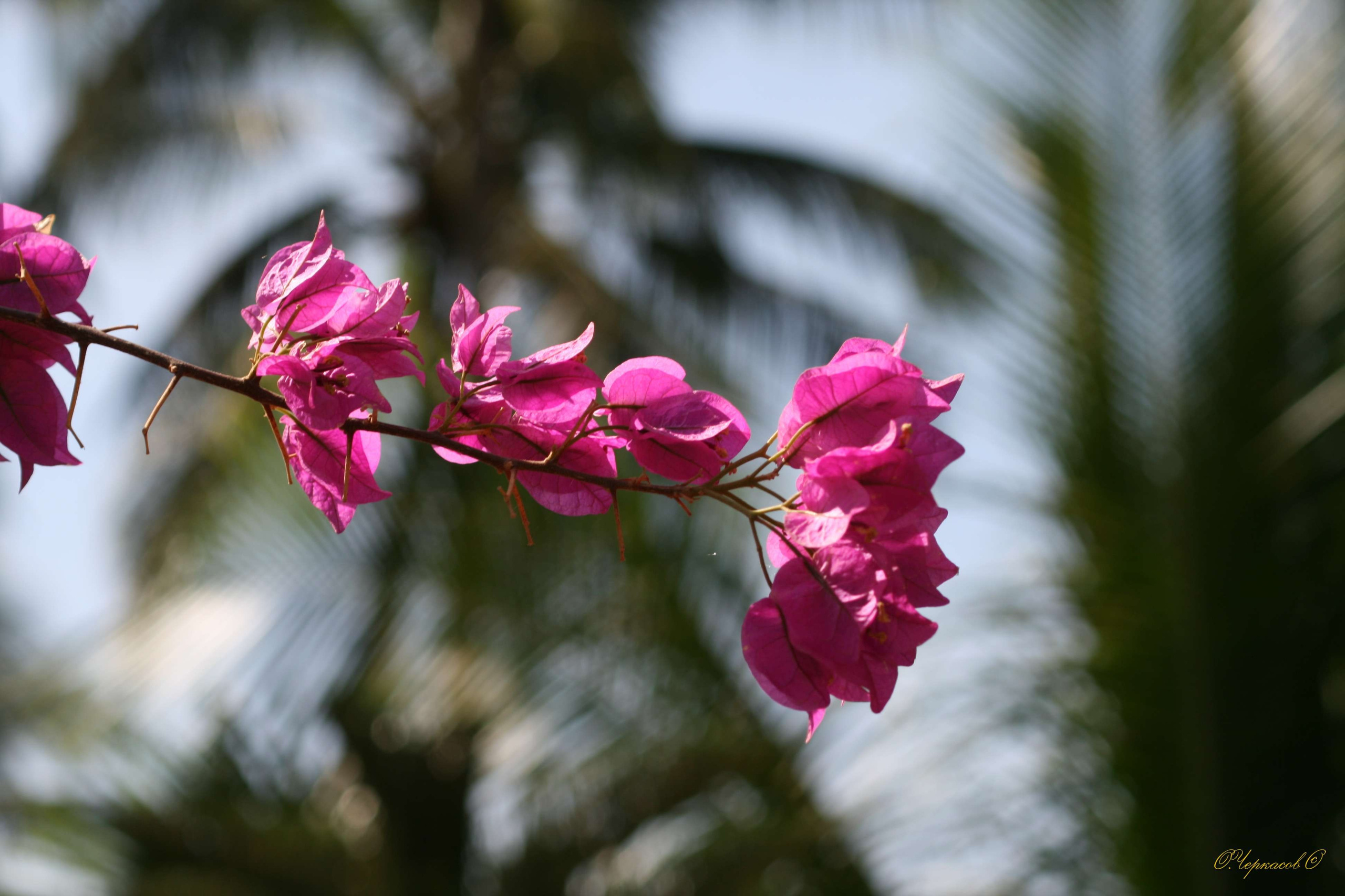 Вьетнам 2008 г. Улица, люди, жизнь…