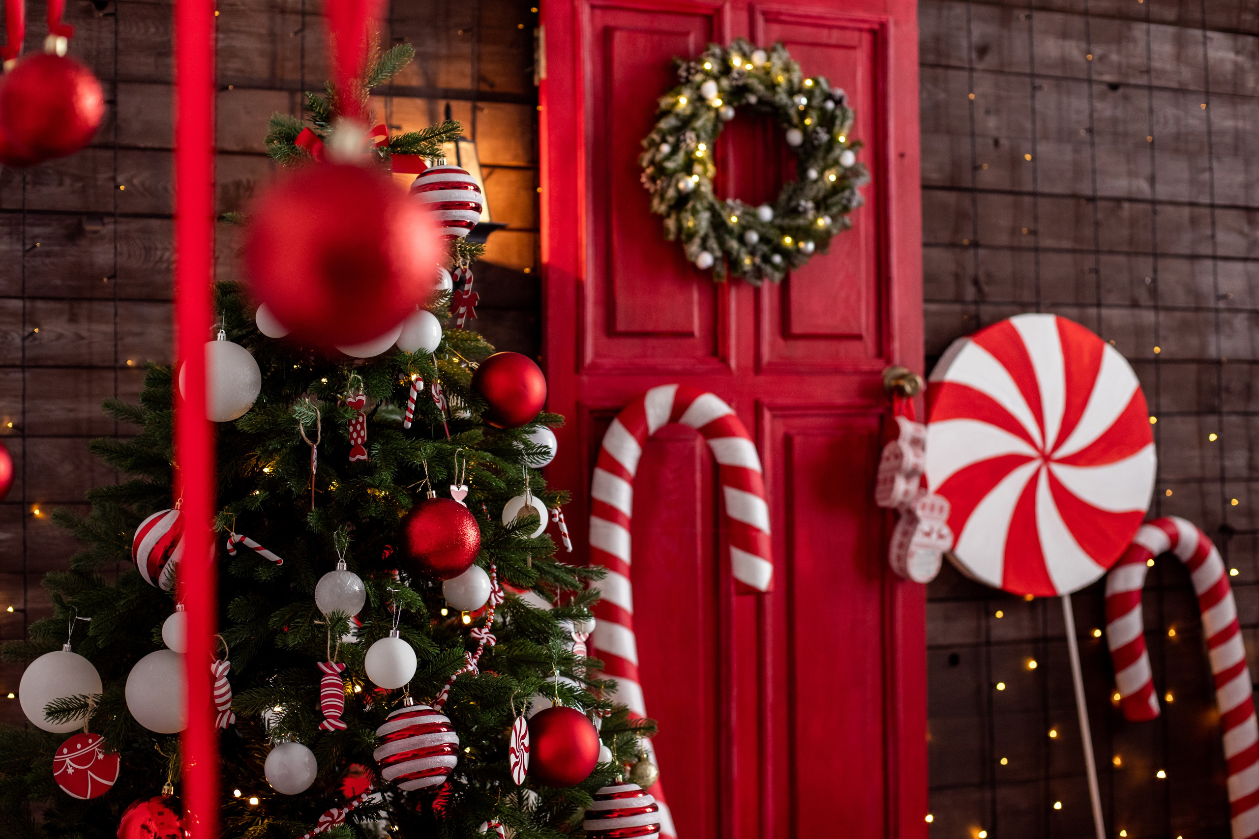 Буфет. Фотограф г. Хабаровск. Семейные и индивидуальные съёмки