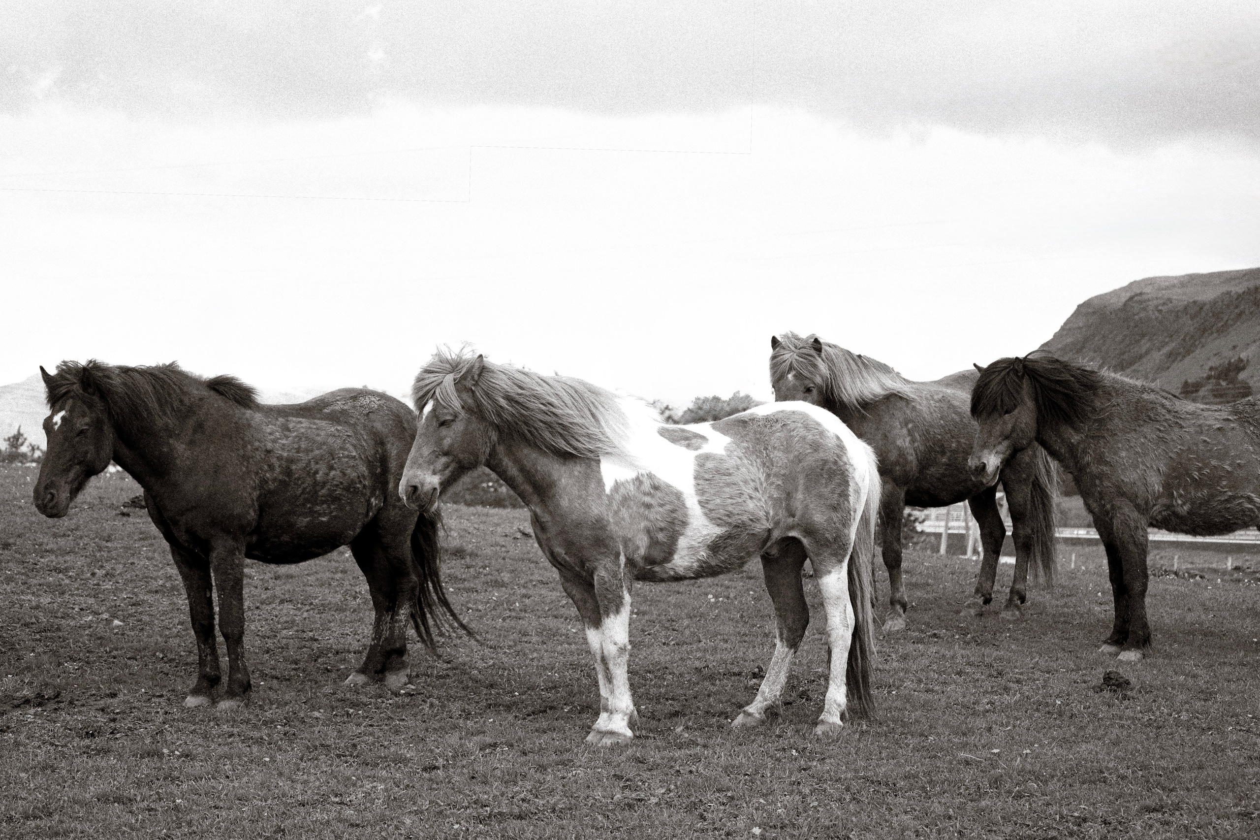 Iceland. Photographer