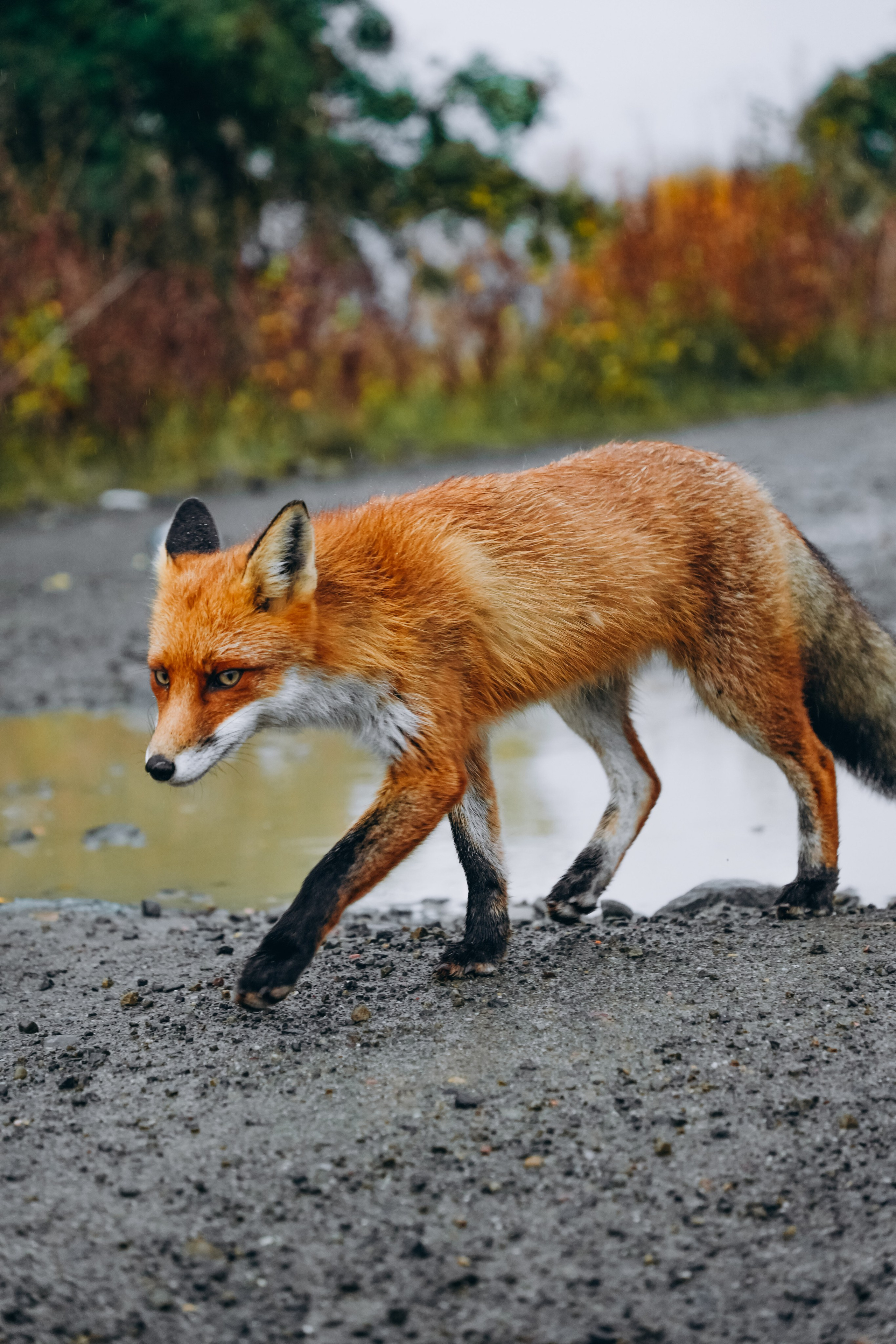 СЕВЕР. Event фотограф Степанова Александра