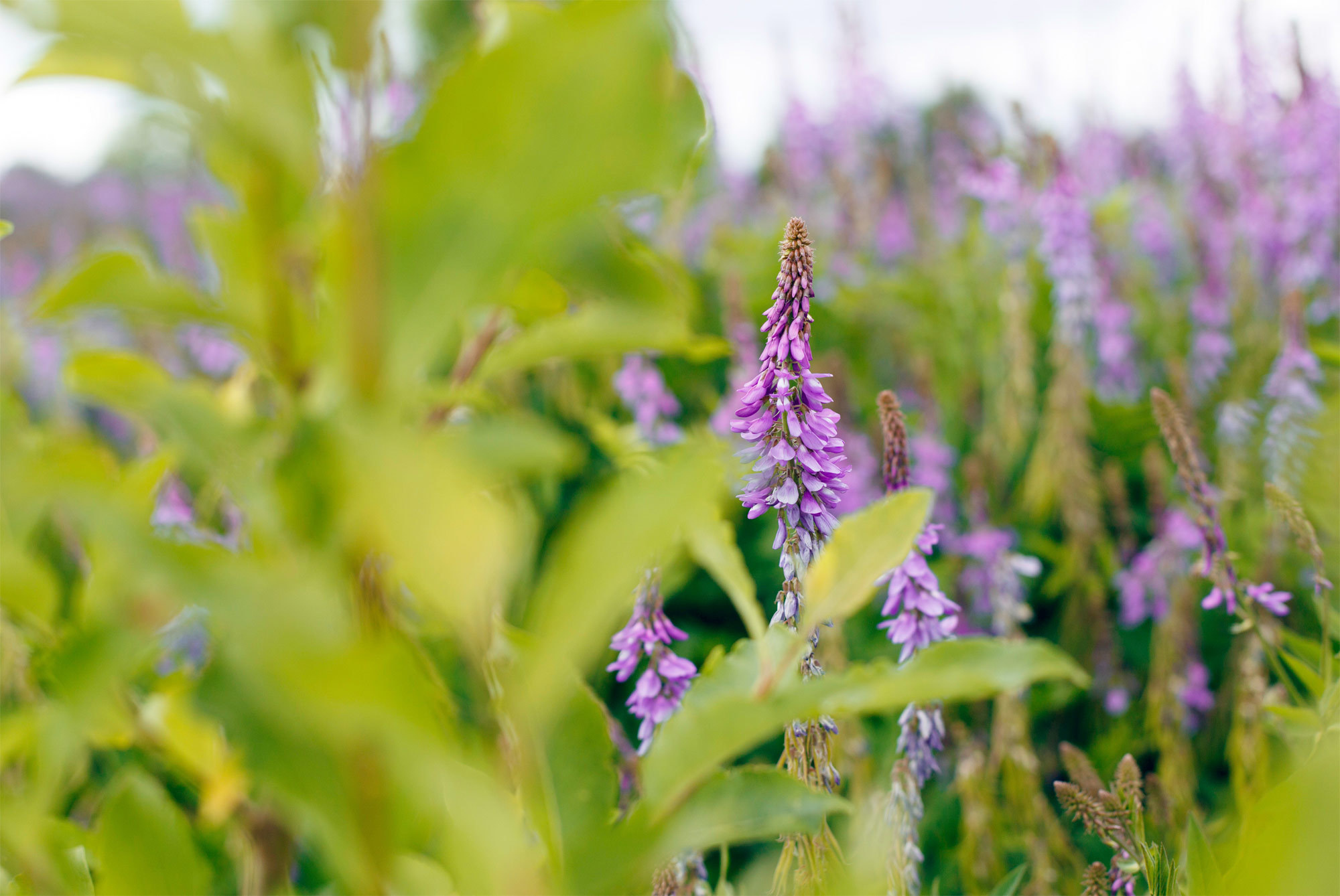 Ceative shooting Speechful arms. Kasia Teesh. Фотограф и Видеограф. Сергиев Посад