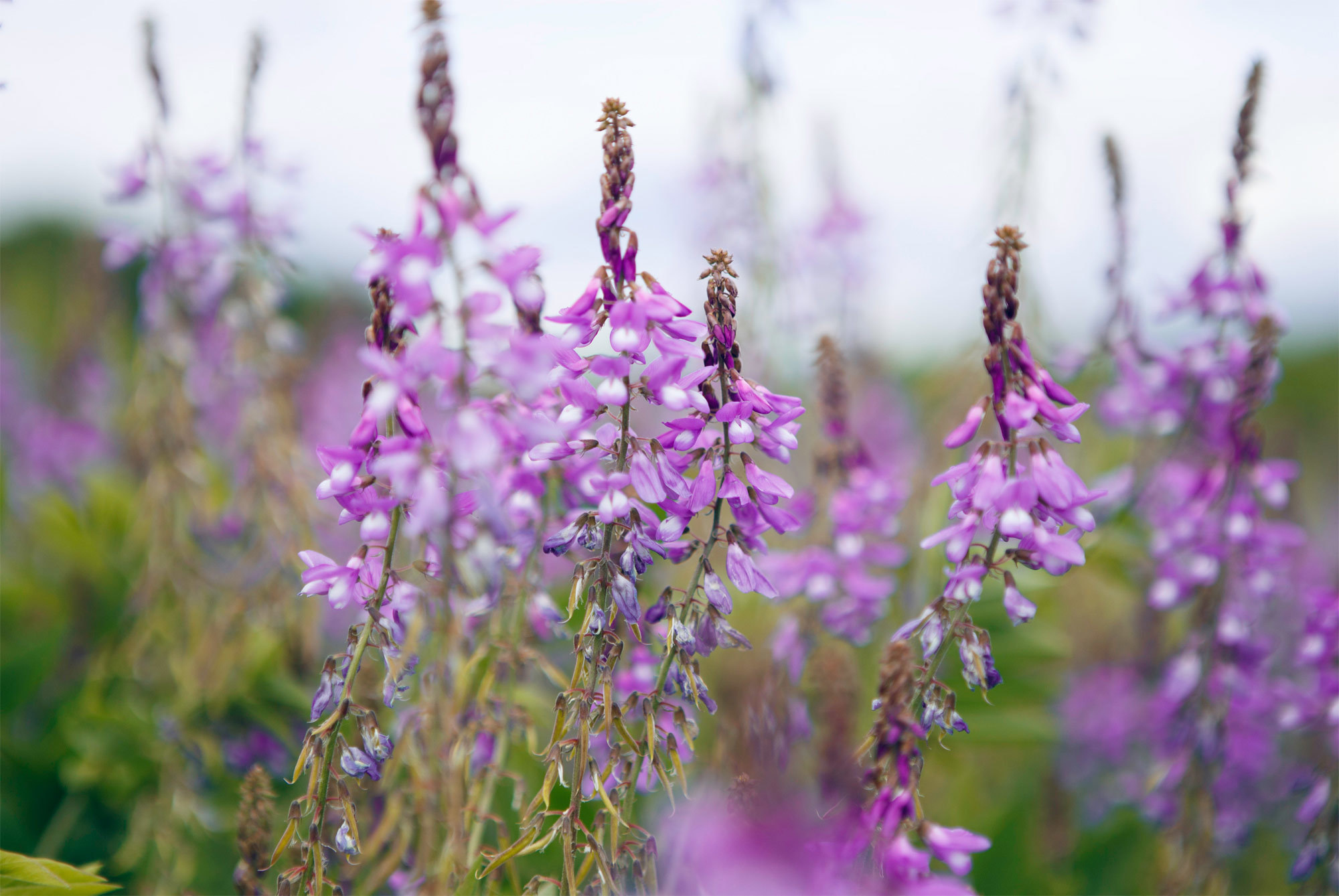 Ceative shooting Speechful arms. Kasia Teesh. Фотограф и Видеограф. Сергиев Посад
