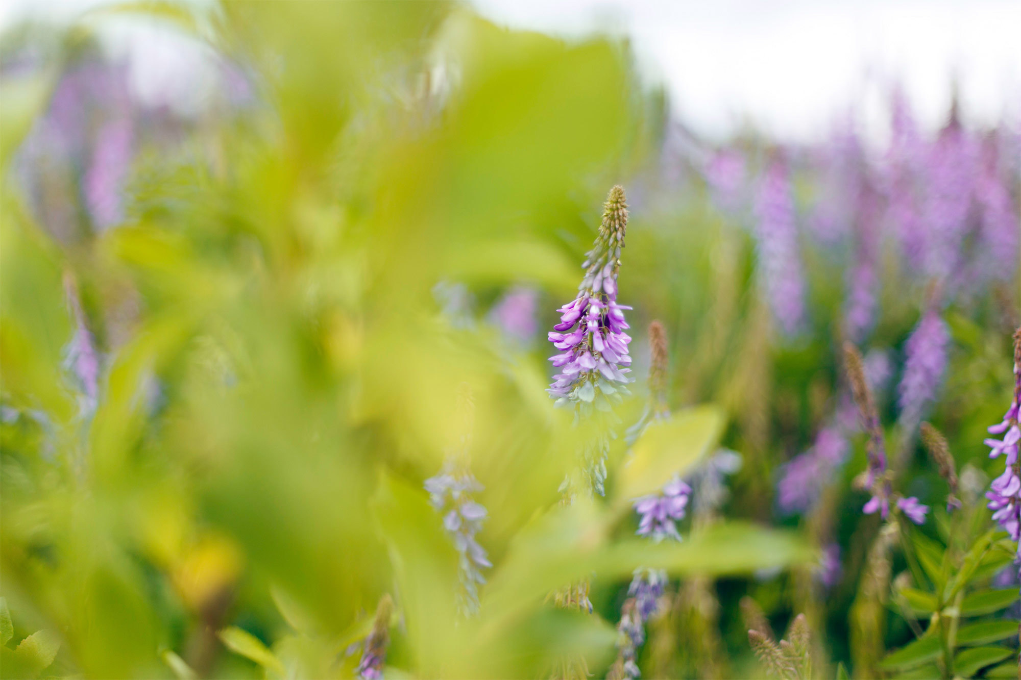 Ceative shooting Speechful arms. Kasia Teesh. Фотограф и Видеограф. Сергиев Посад