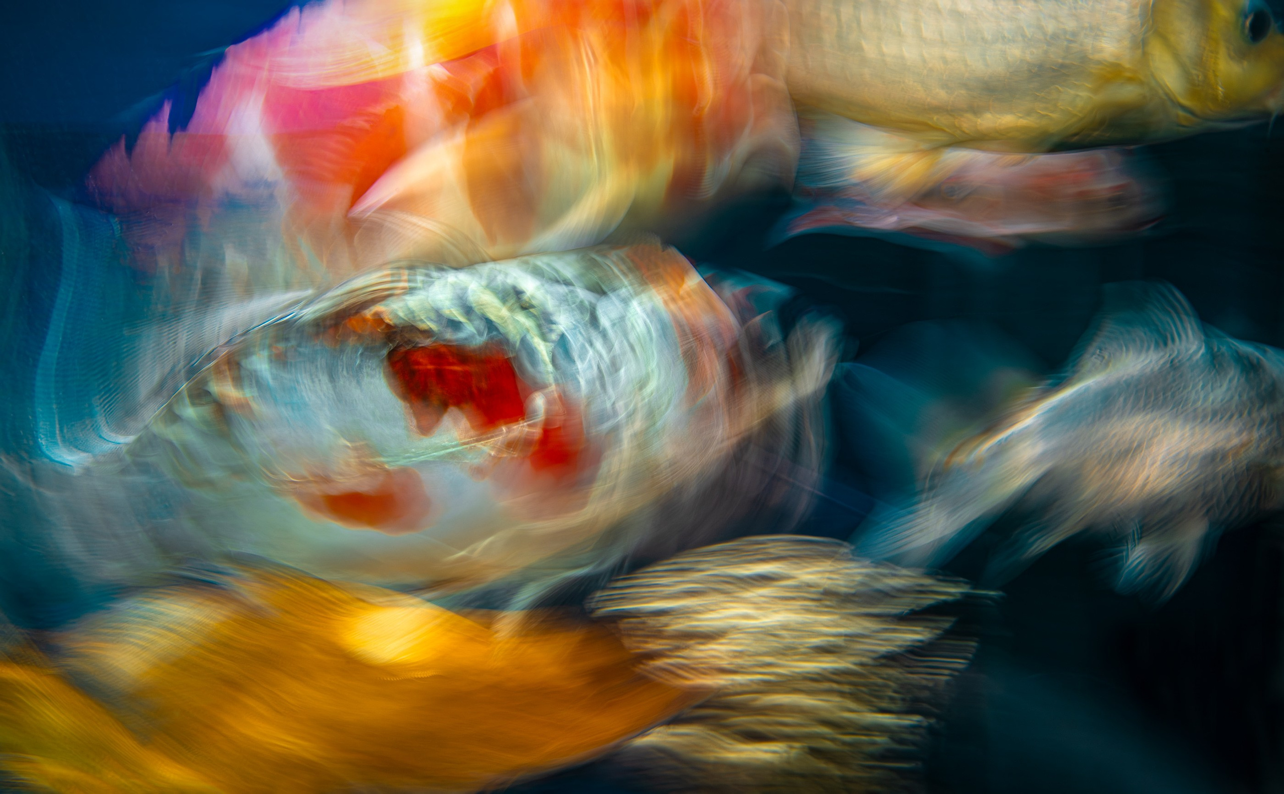 UNDERWATER. LUMEN DUO Art photography for interiors