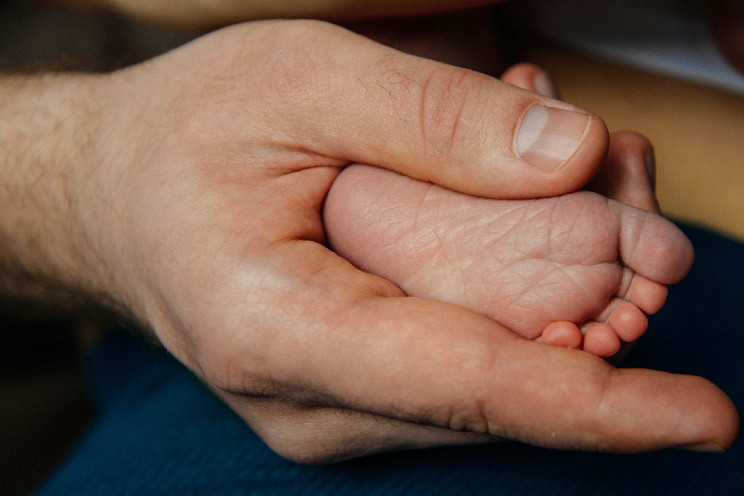 Лев родился. Семейный и детский фотограф в Москве (Тинао) Галкина Алевтина
