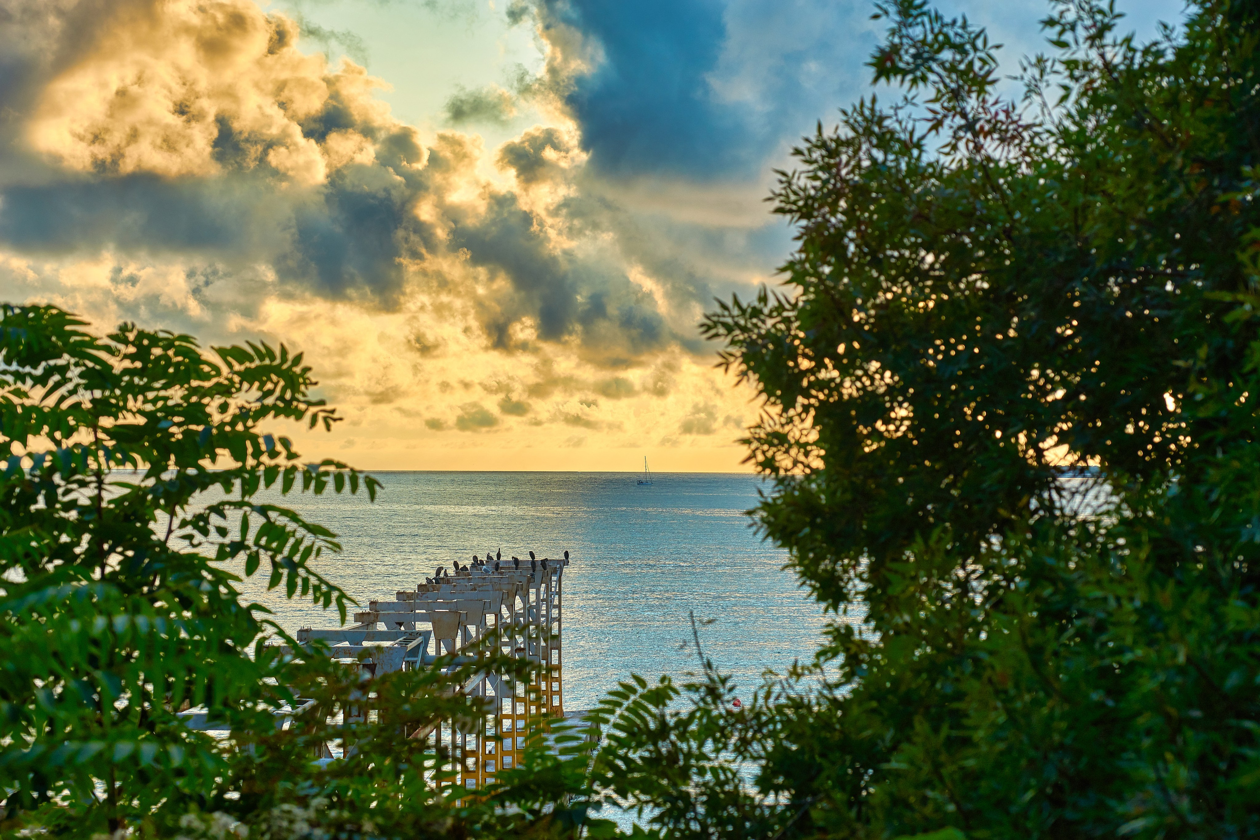 Геленджик. Фотограф Владимир Артамонов