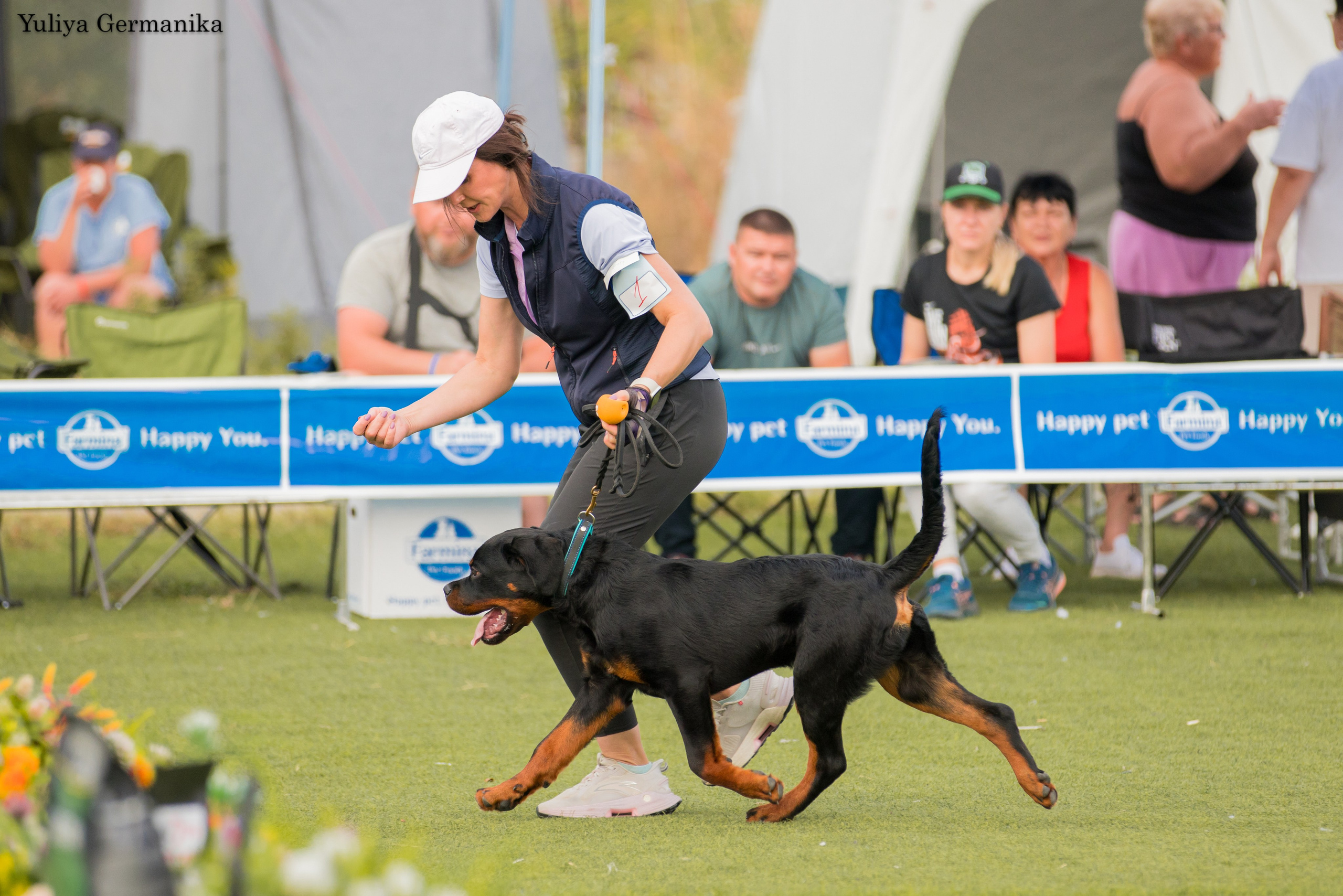 Анапа 16-17.09.2023 моно ротвейлеров. Фотограф-анималист Юлия Германика