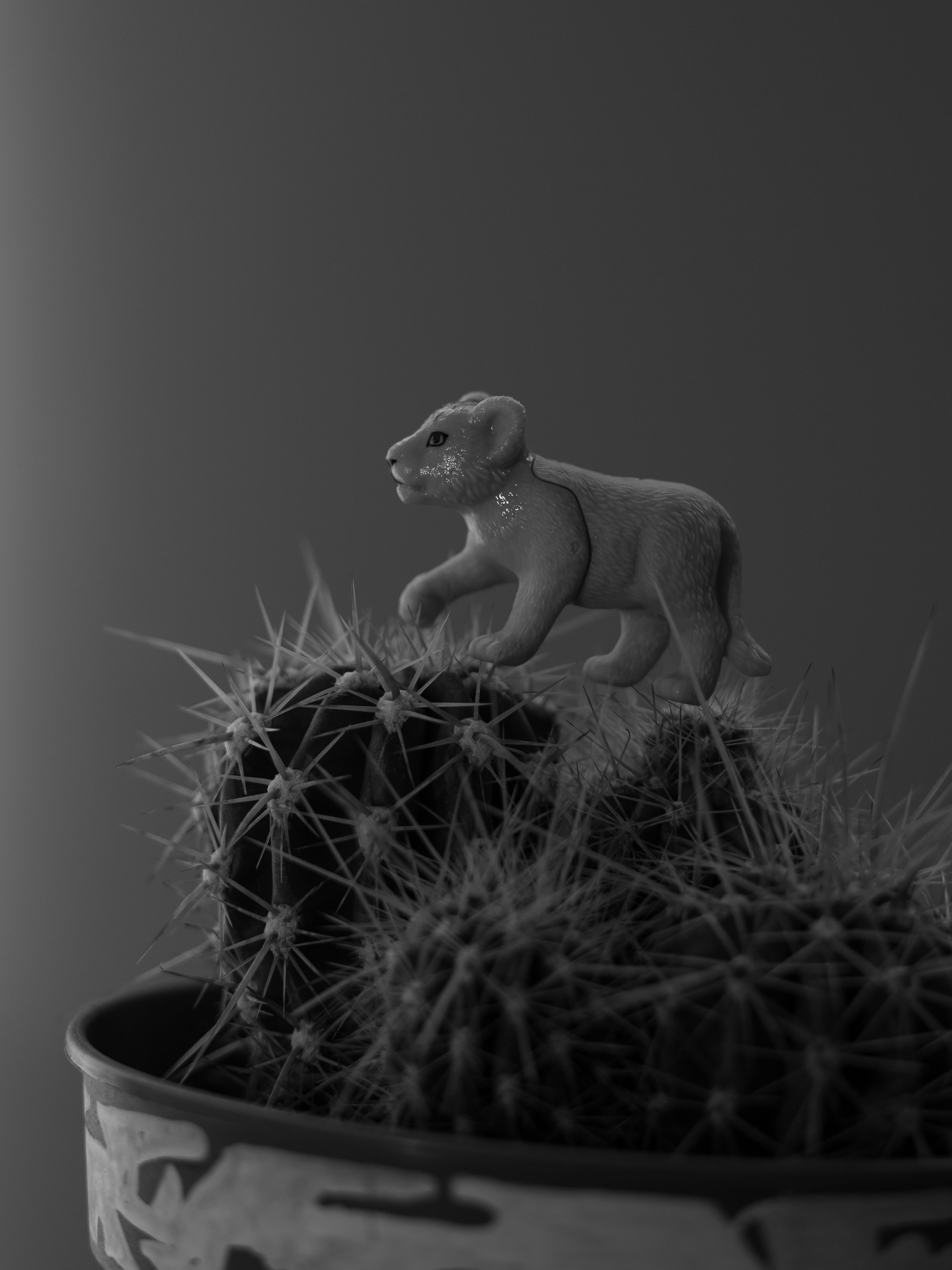 Project. Ula Aldokhina