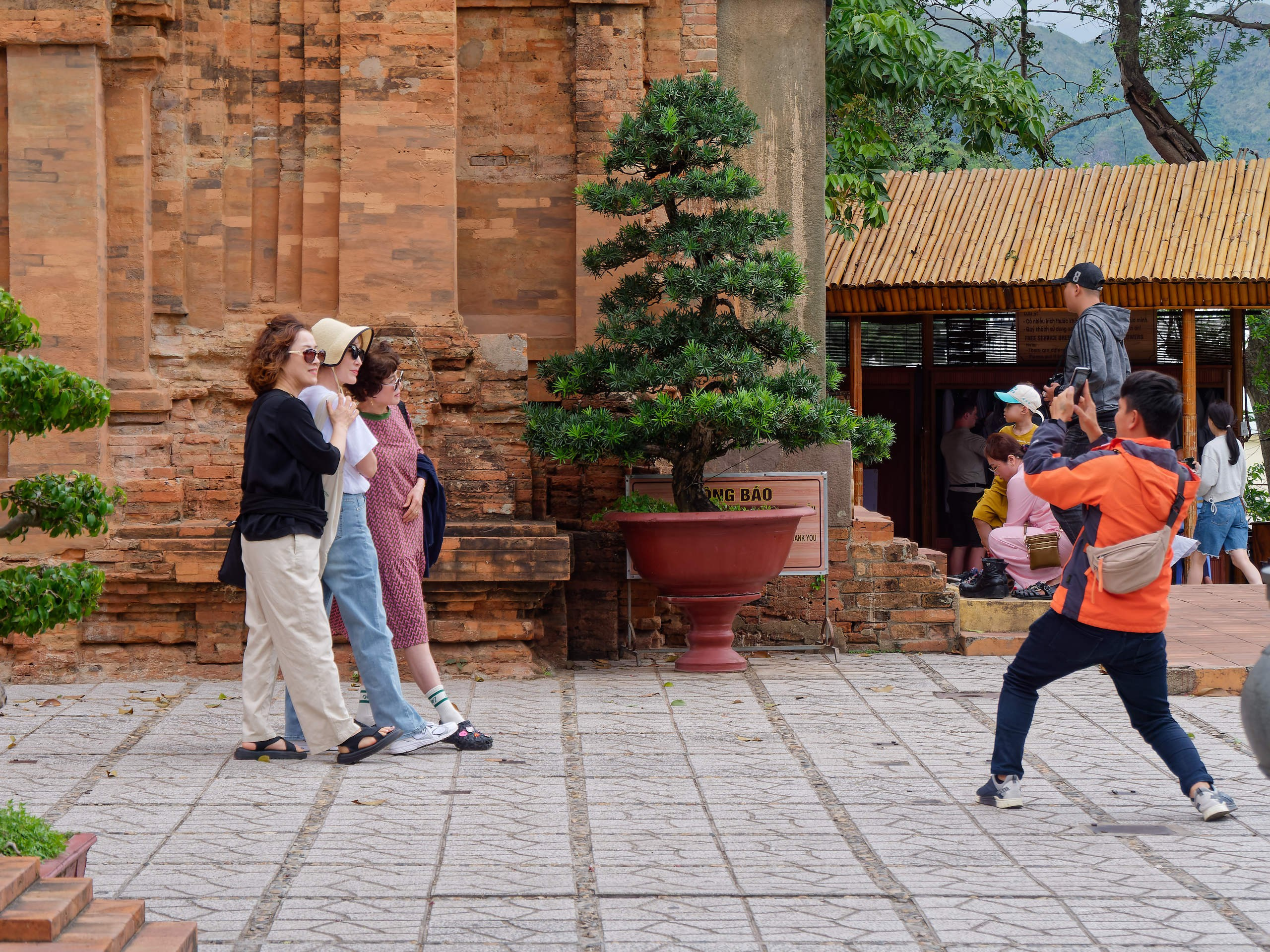 Нячанг 2025 (4). Избранные фотографии