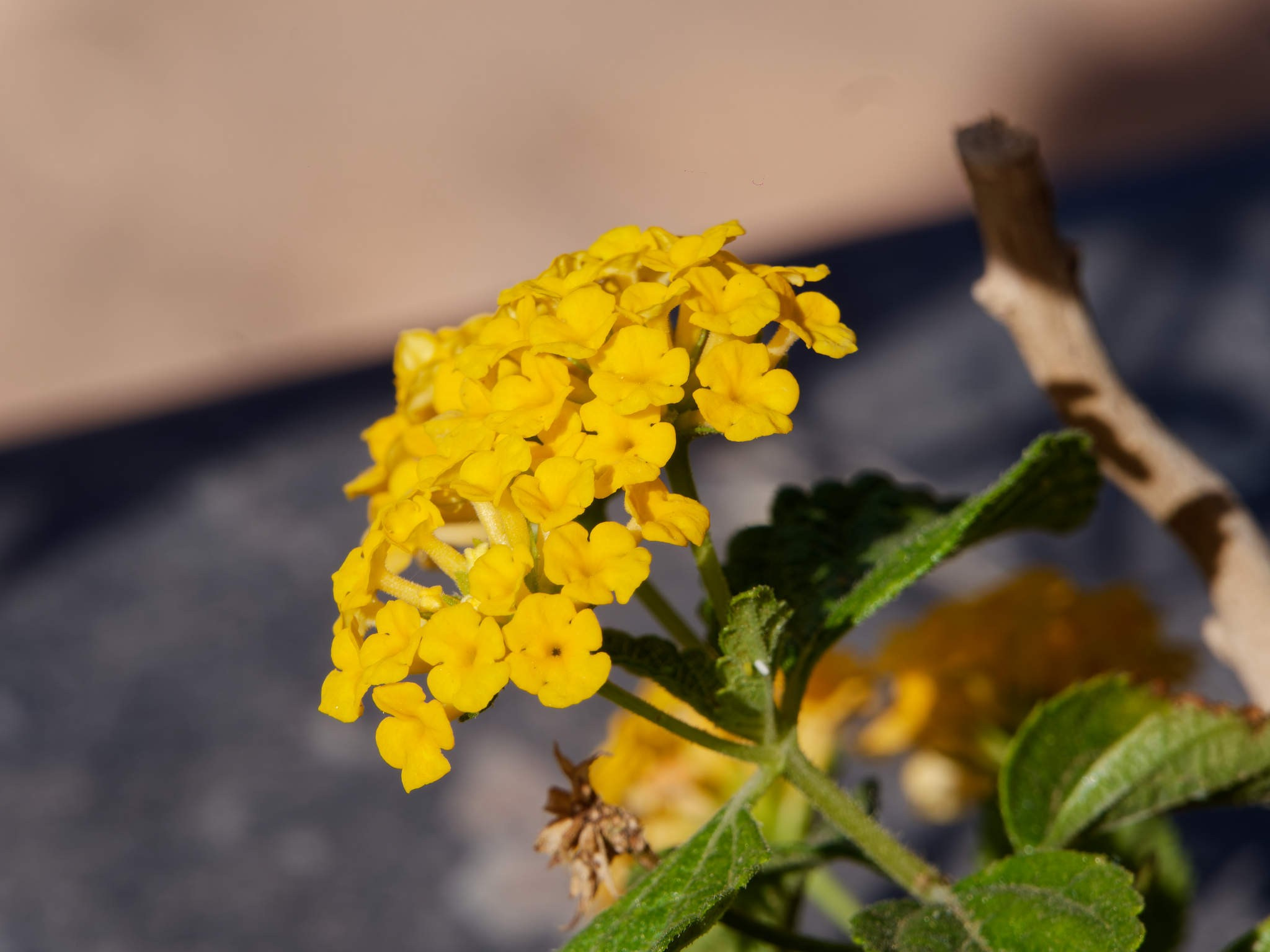 Шарм-эль-Шейх 2024. Избранные фотографии