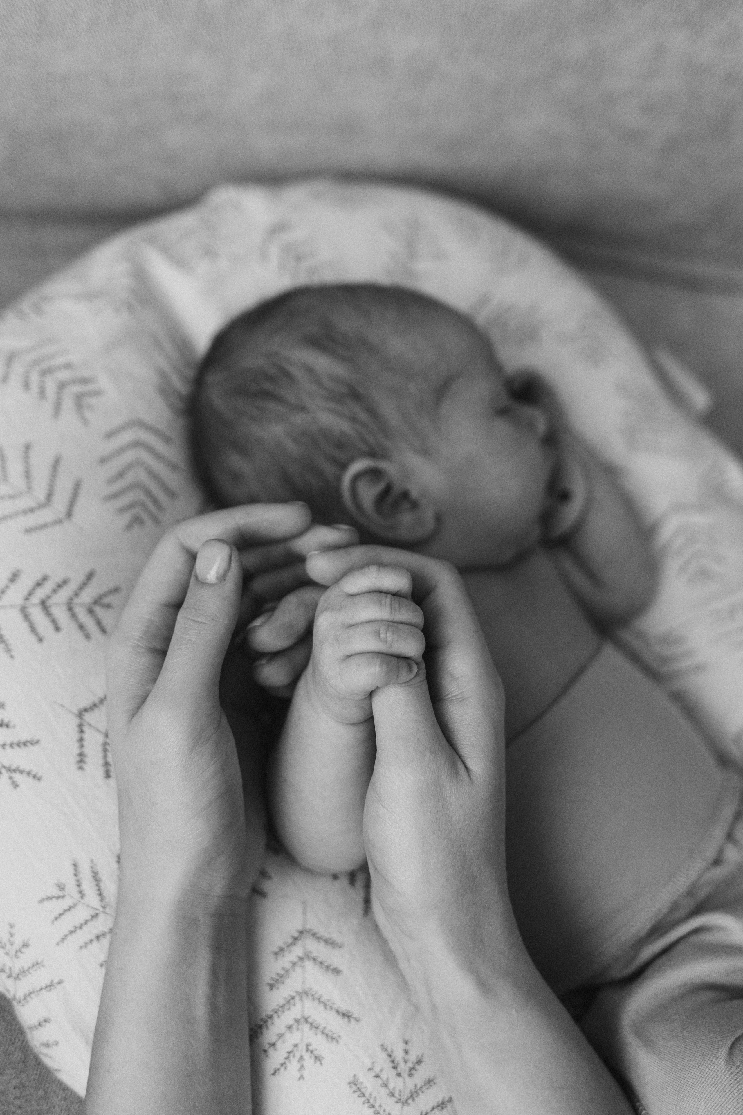 Новорожденные. Фотограф Москва