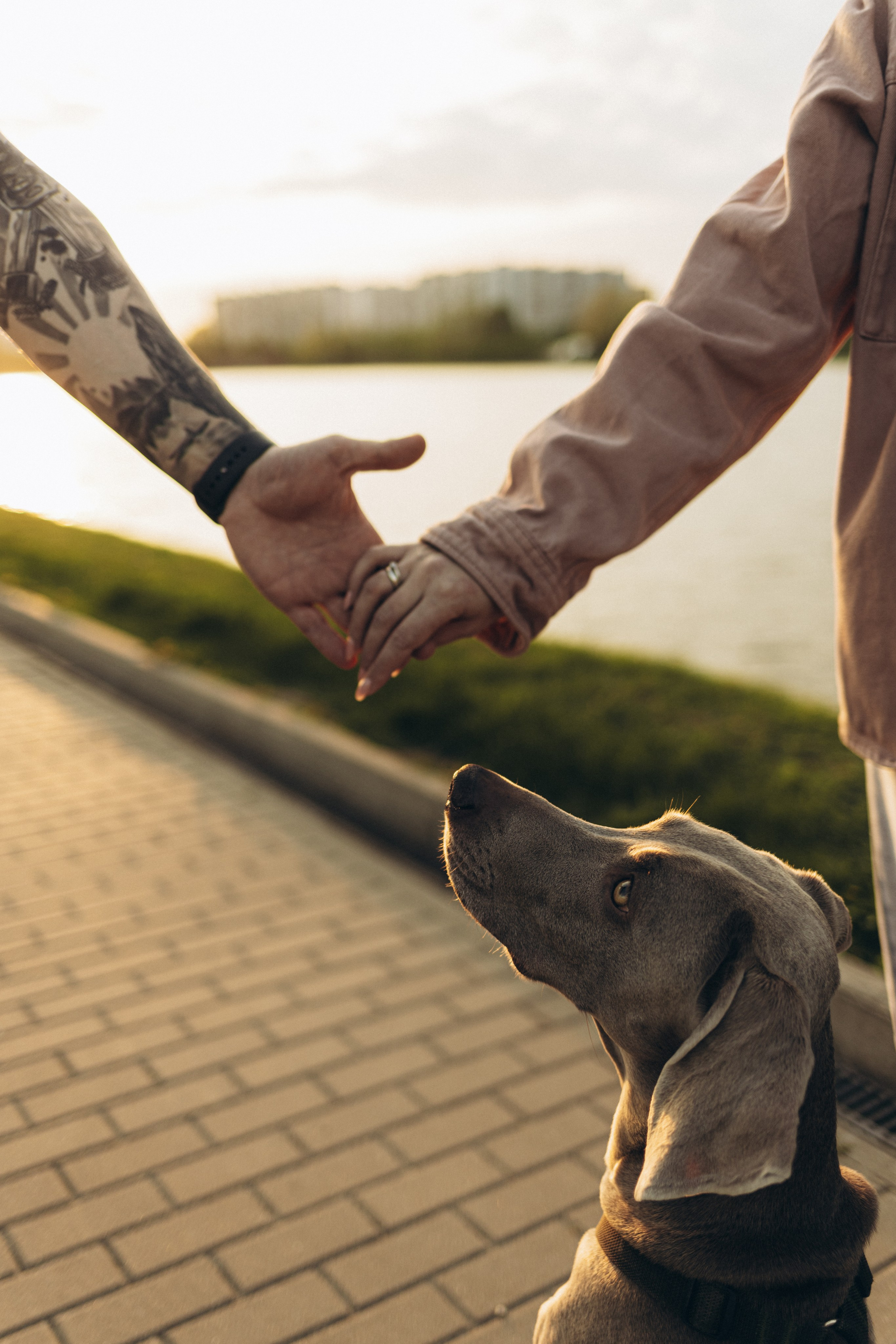 Беременность. Фотограф Москва
