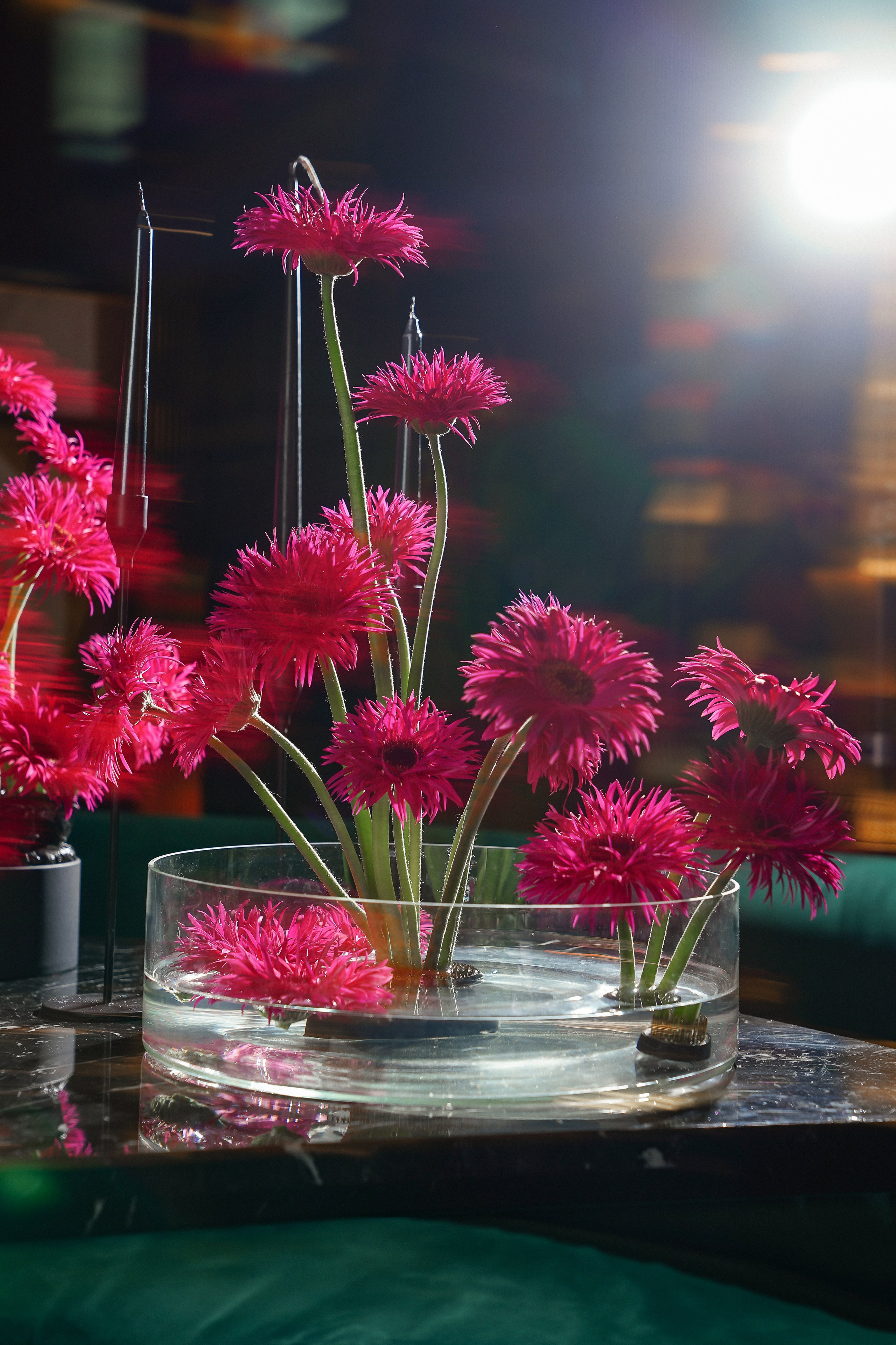 Garden Rose. Контентный и свадебный фотограф в Краснодаре и Сочи Елена Плотникова