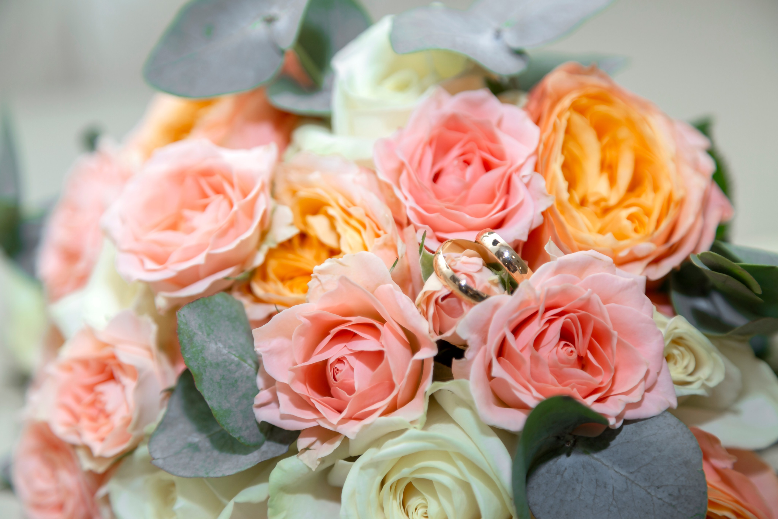 Дмитрий и Анжелика ~ Щёлково. Семейный и свадебный фотограф в Москве Татьяна Седлецкая