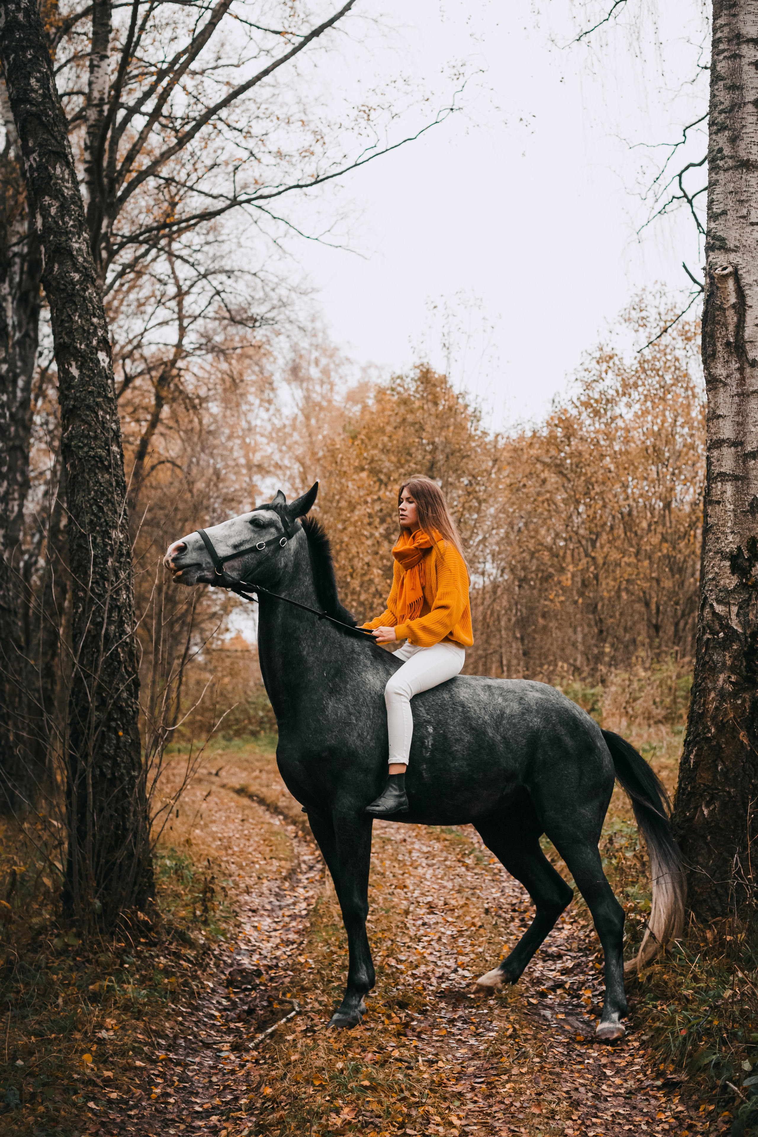 Аня и Джози. Фотограф-анималист Татьяна Степанова