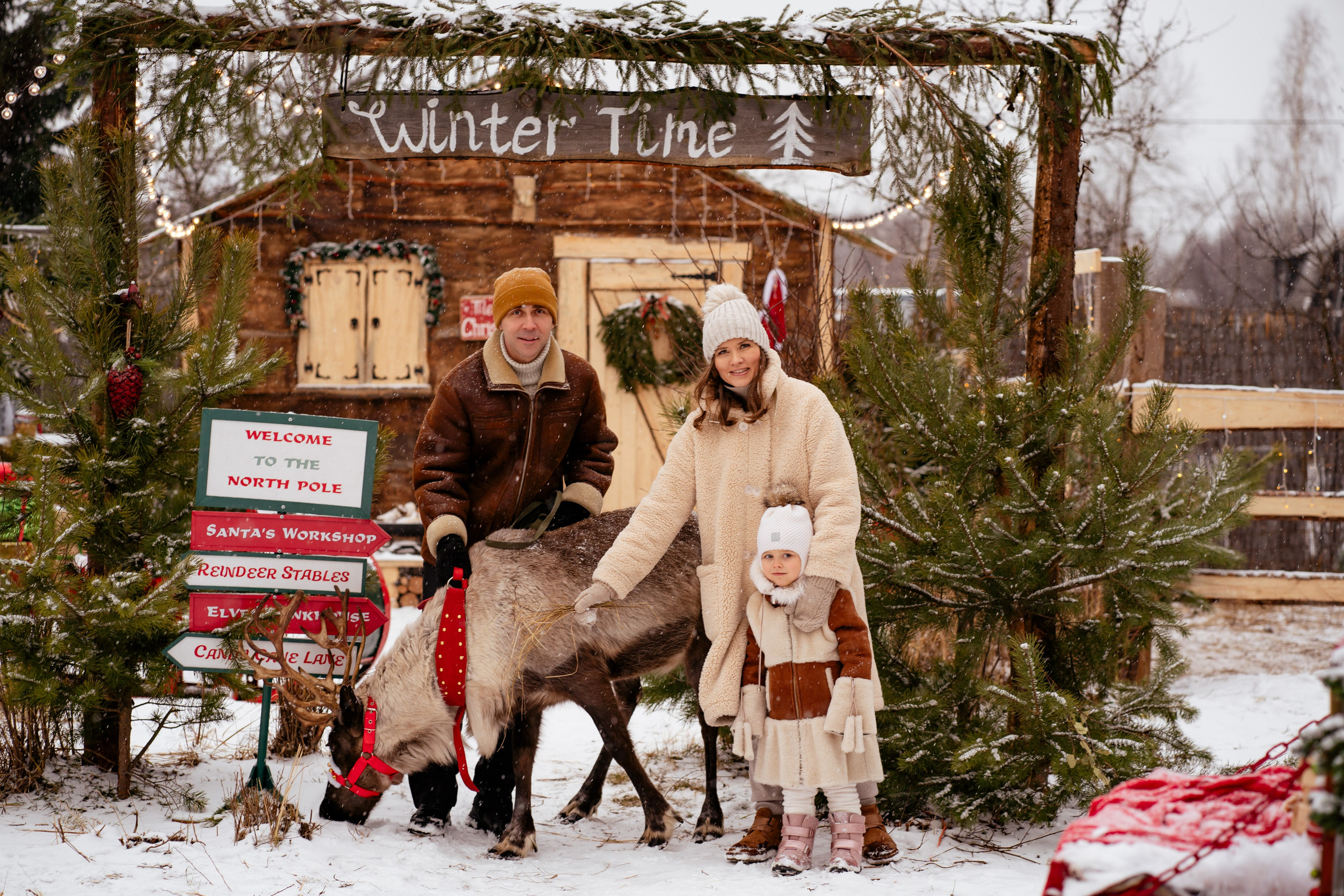 Фотодача «Калина» зима/новый год. Мои работы