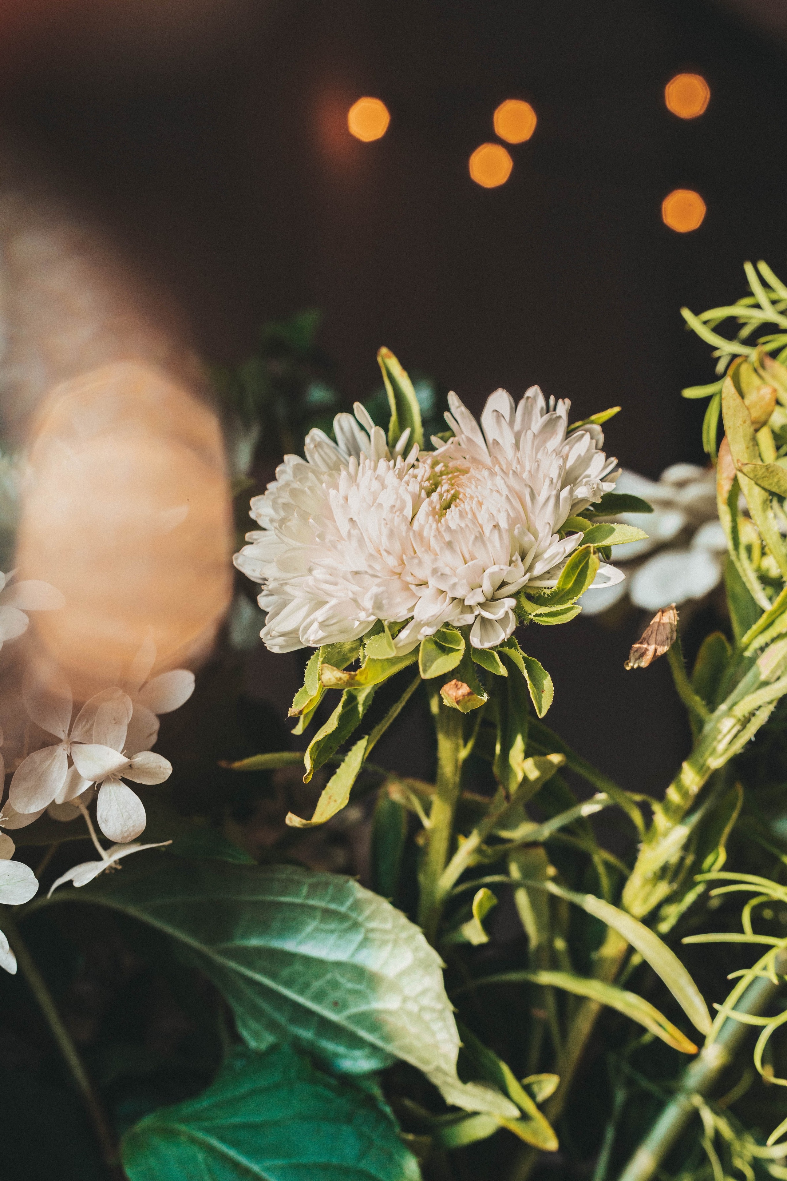 Оля и Поля, август 2024. Фотограф в Ярославле Ольга Пыненкова