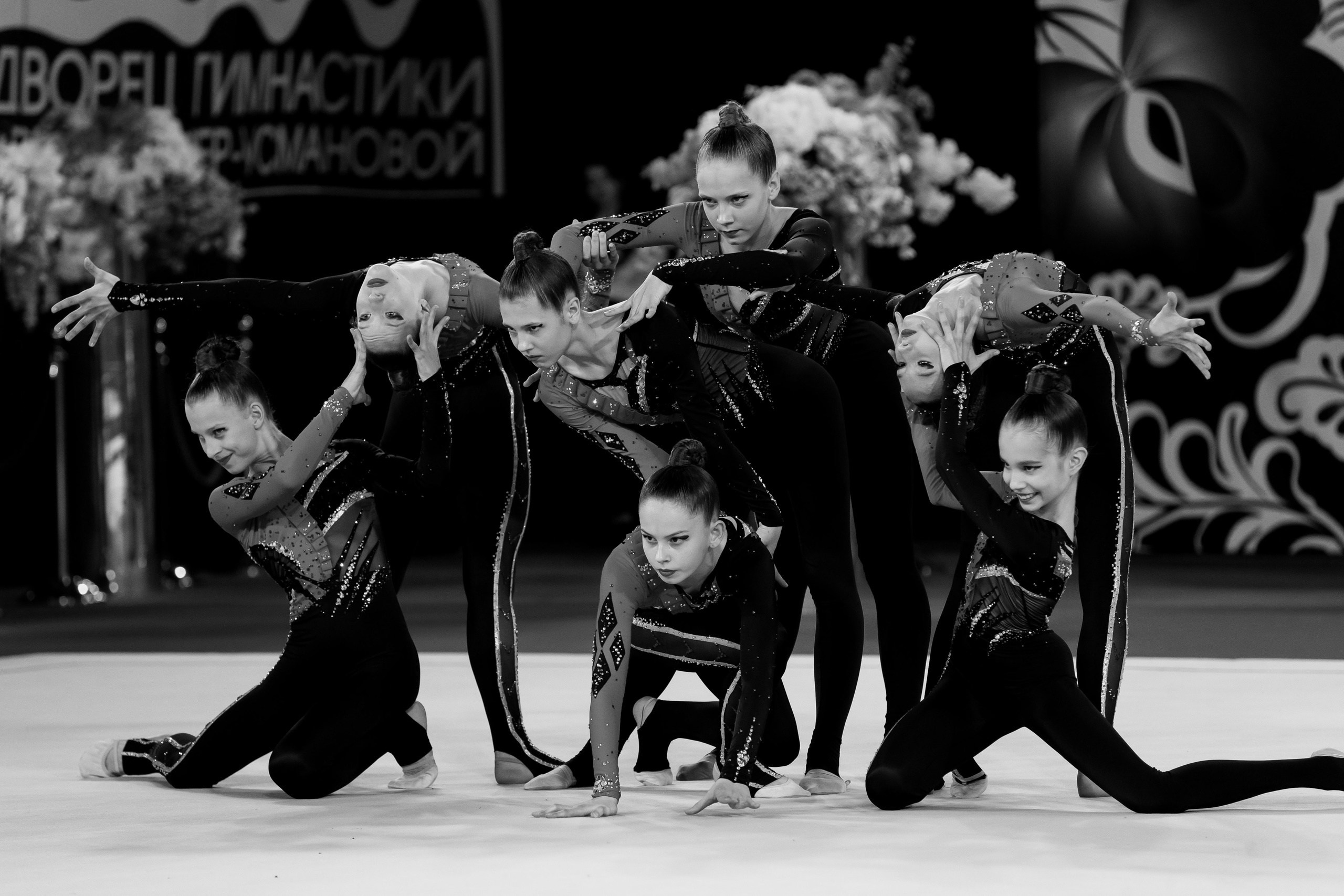 Кубок России по эстетической гимнастике 2025. Москва. Спортивный фотограф Александр Васильев. RG и AGG