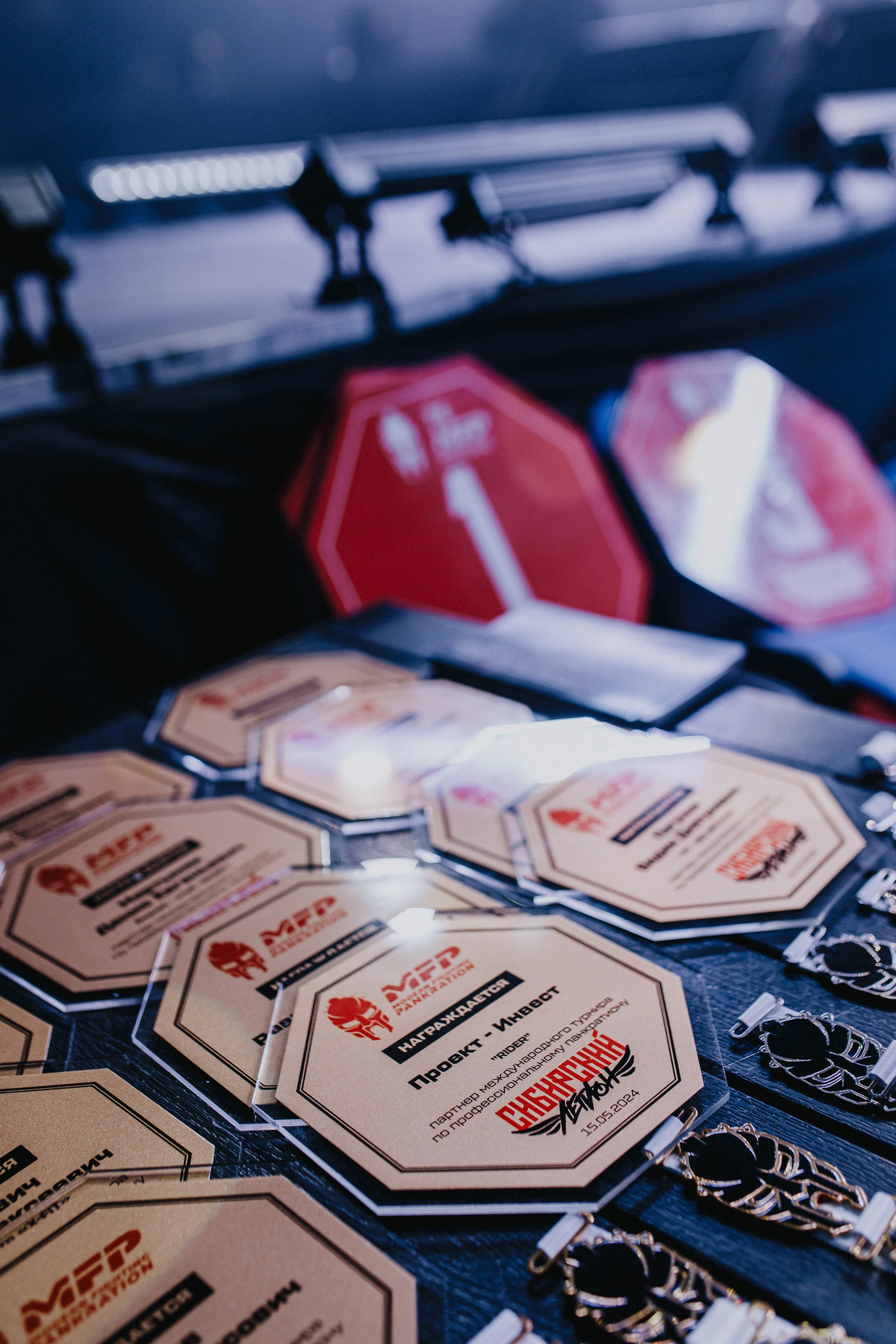 MFP246 МАКСИМ БУТОРИН VS МАРСИО БРЕНО. Фотограф Иркутск Антипин Сергей