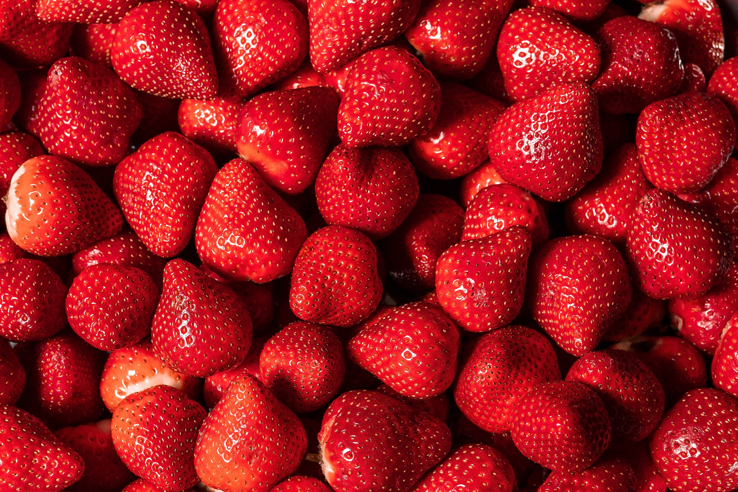 Фотограф в Сочи на день рождение. Фотограф Сочи