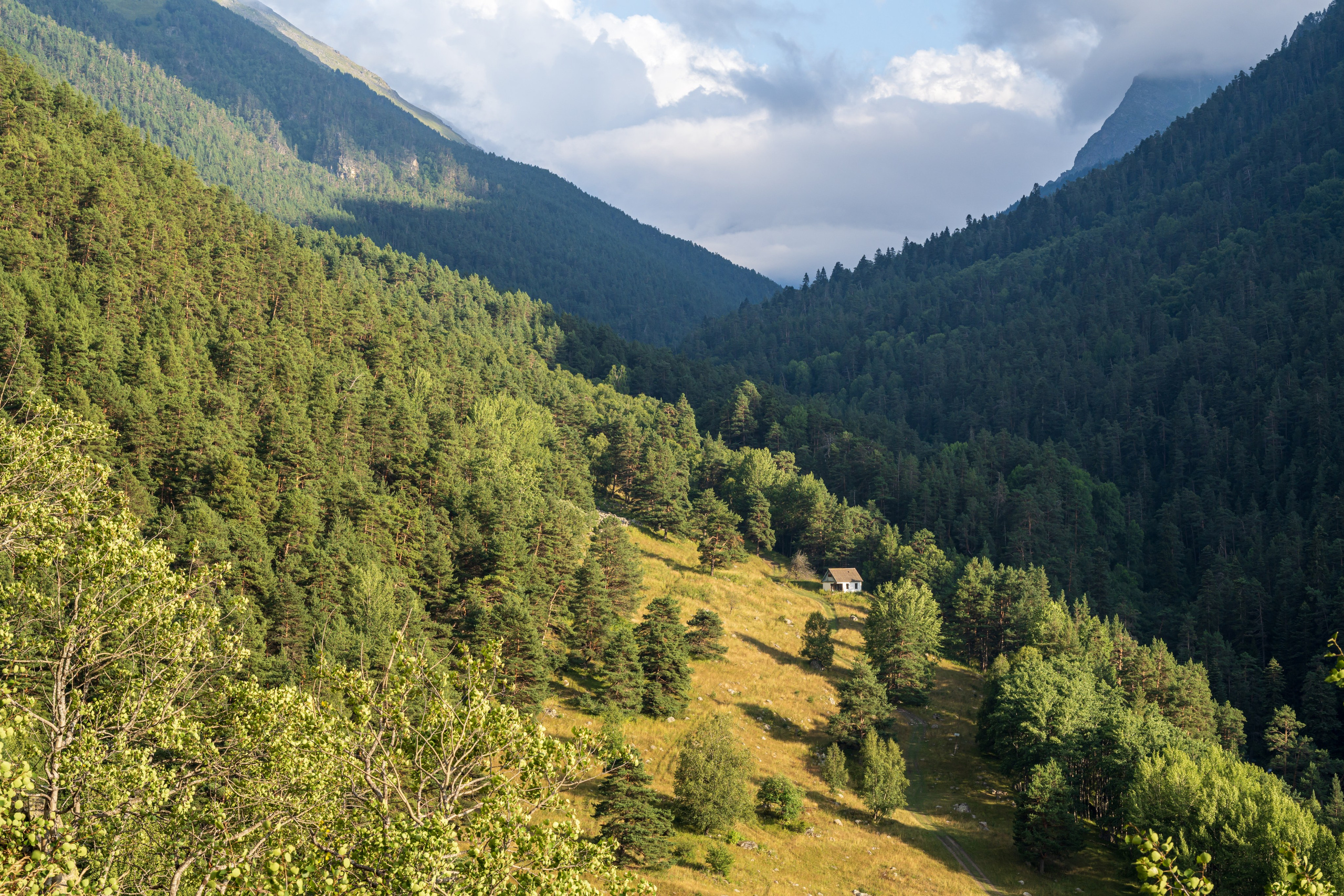 Экспедиция 2025