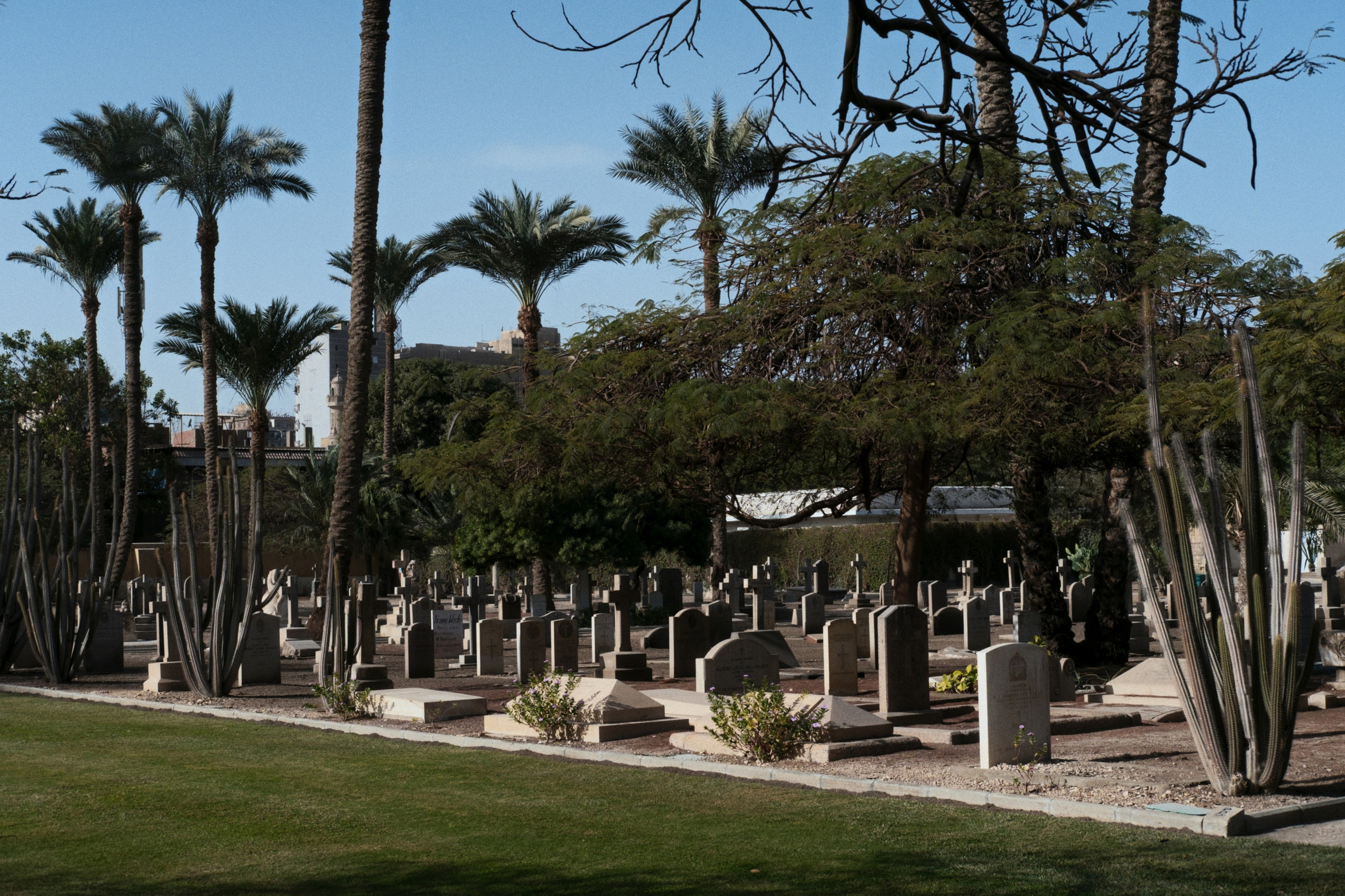 War Memorial Cemetery / Cairo, Egypt AW25. Фотограф Юрин Евгений