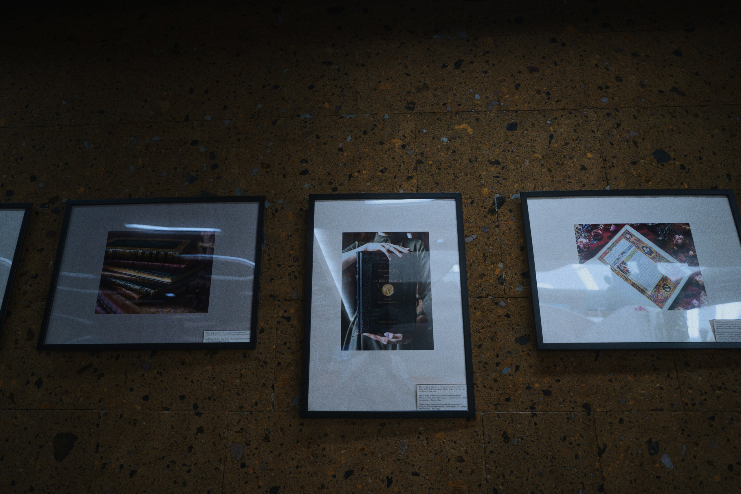 DSPL. Фотограф Юрин Евгений