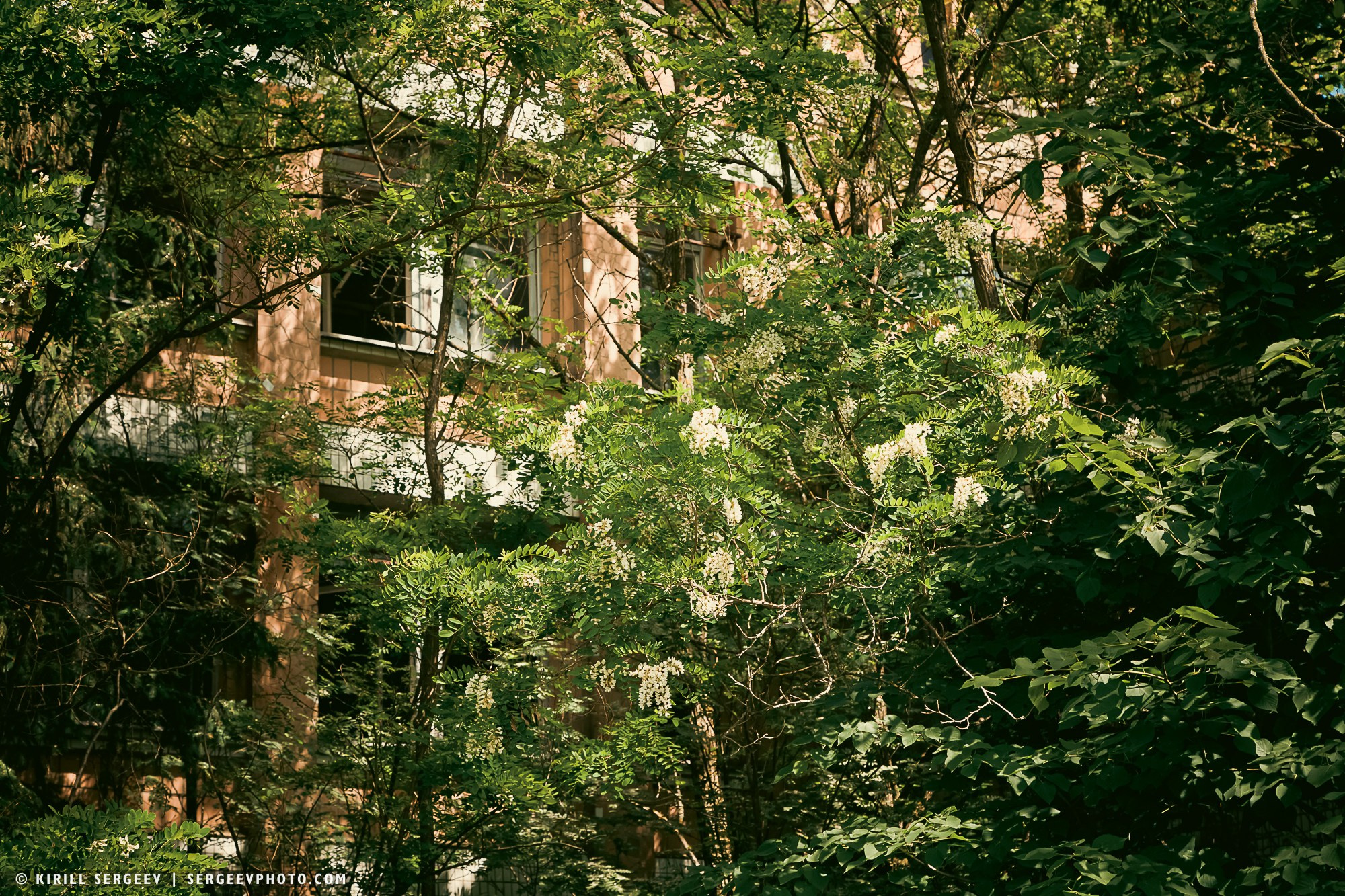 40 лет аварии на ЧАЭС. Поездка в зону отчуждения. 攝影師 基里爾·謝爾蓋耶夫 |莫斯科