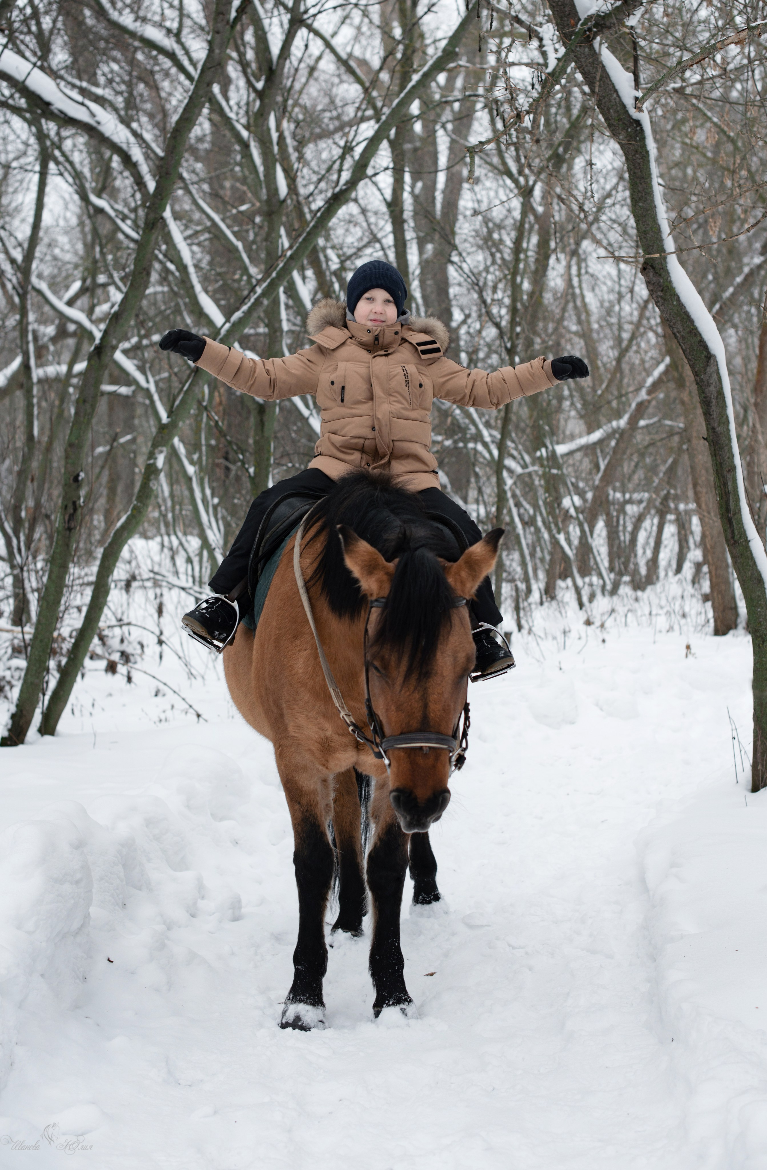 Прогулка с лошадьми. Конный фотограф в Саратове Юлия Иванова