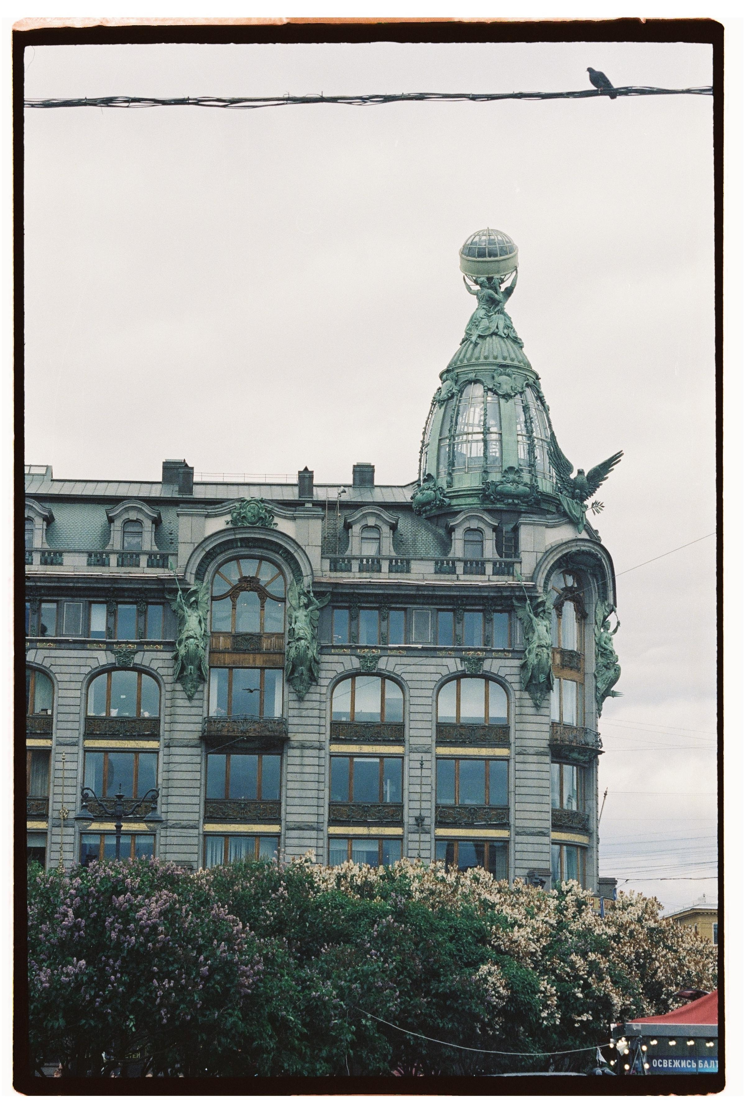 Пленка. Фотограф Дарья Комарова