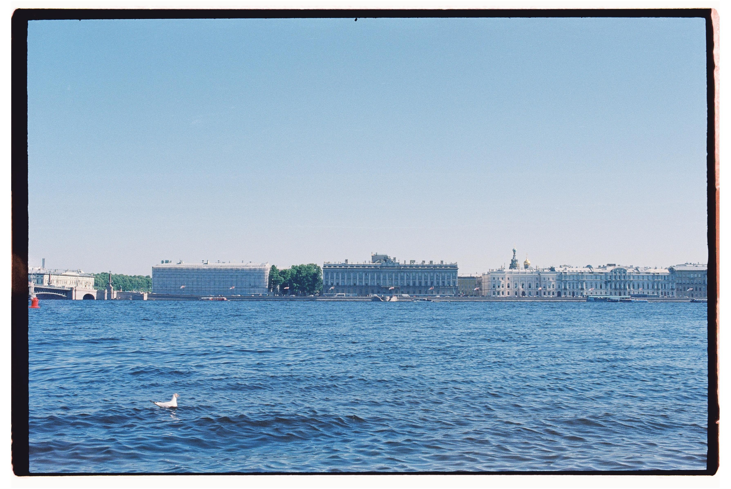 Пленка. Фотограф Дарья Комарова