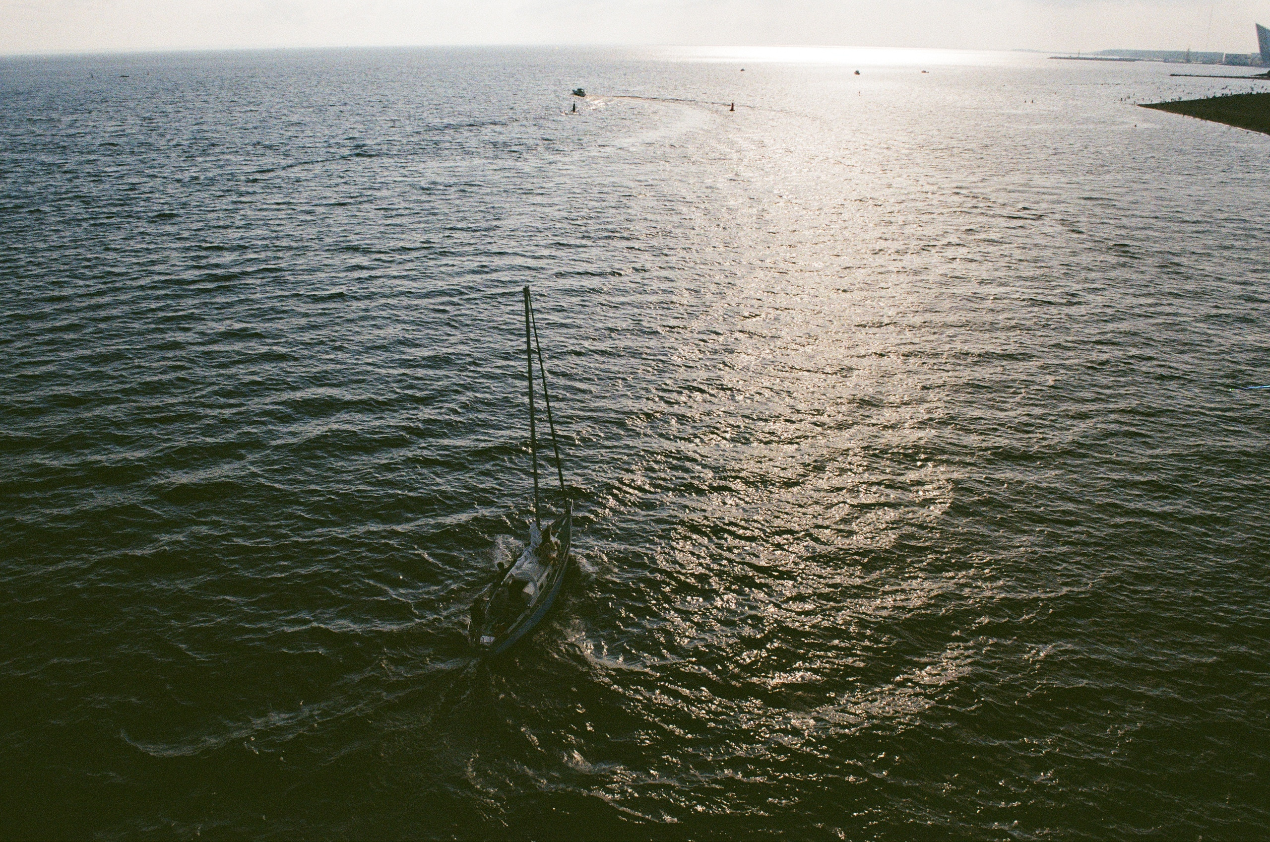 Пленка. Фотограф Дарья Комарова
