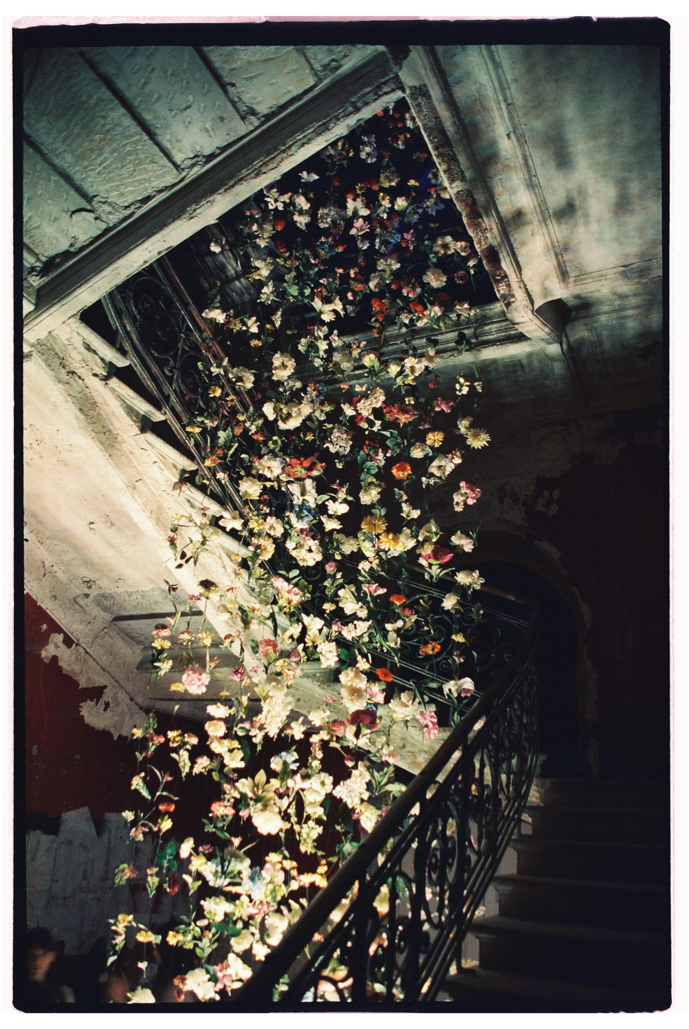 Пленка. Фотограф Дарья Комарова