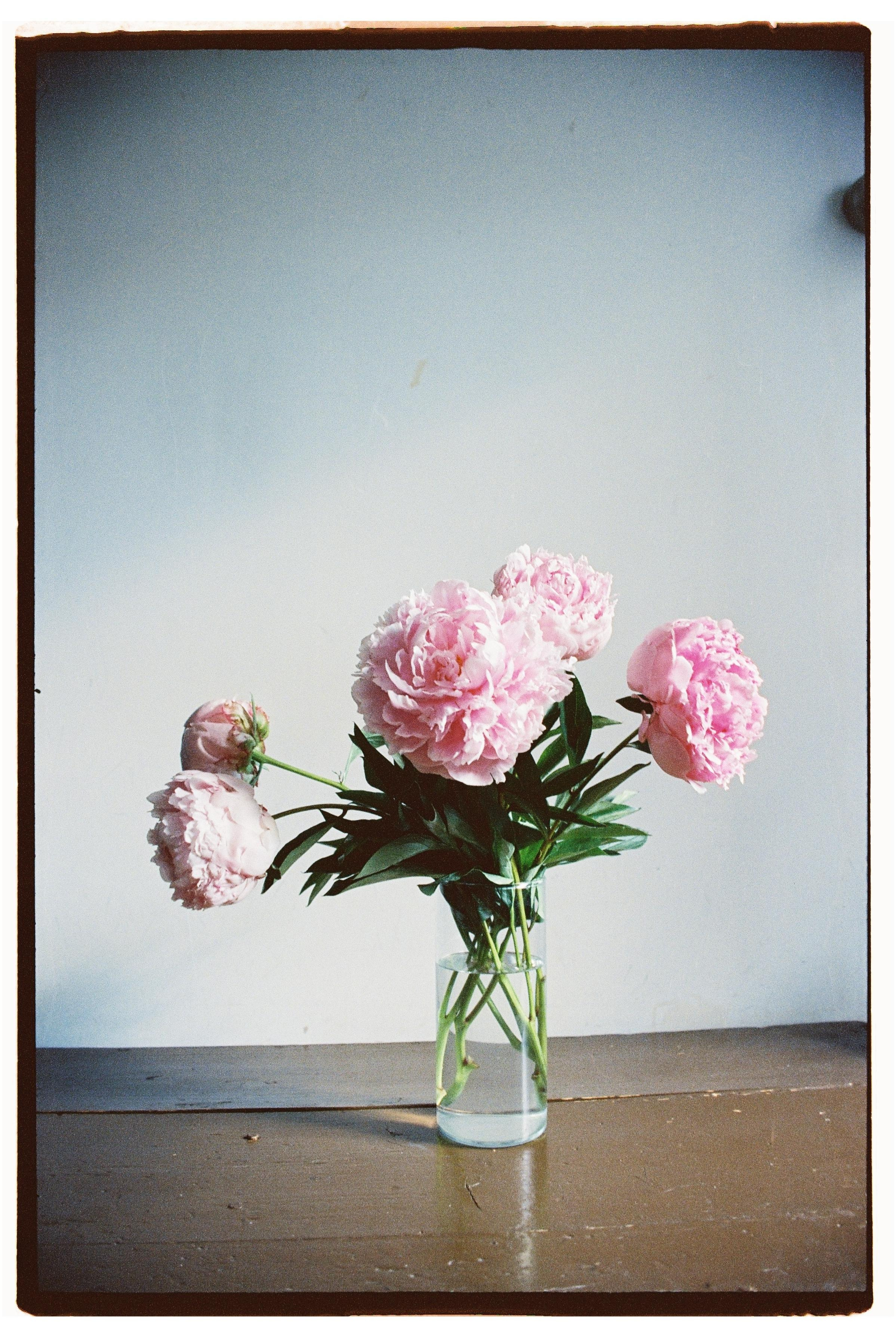 Пленка. Фотограф Дарья Комарова