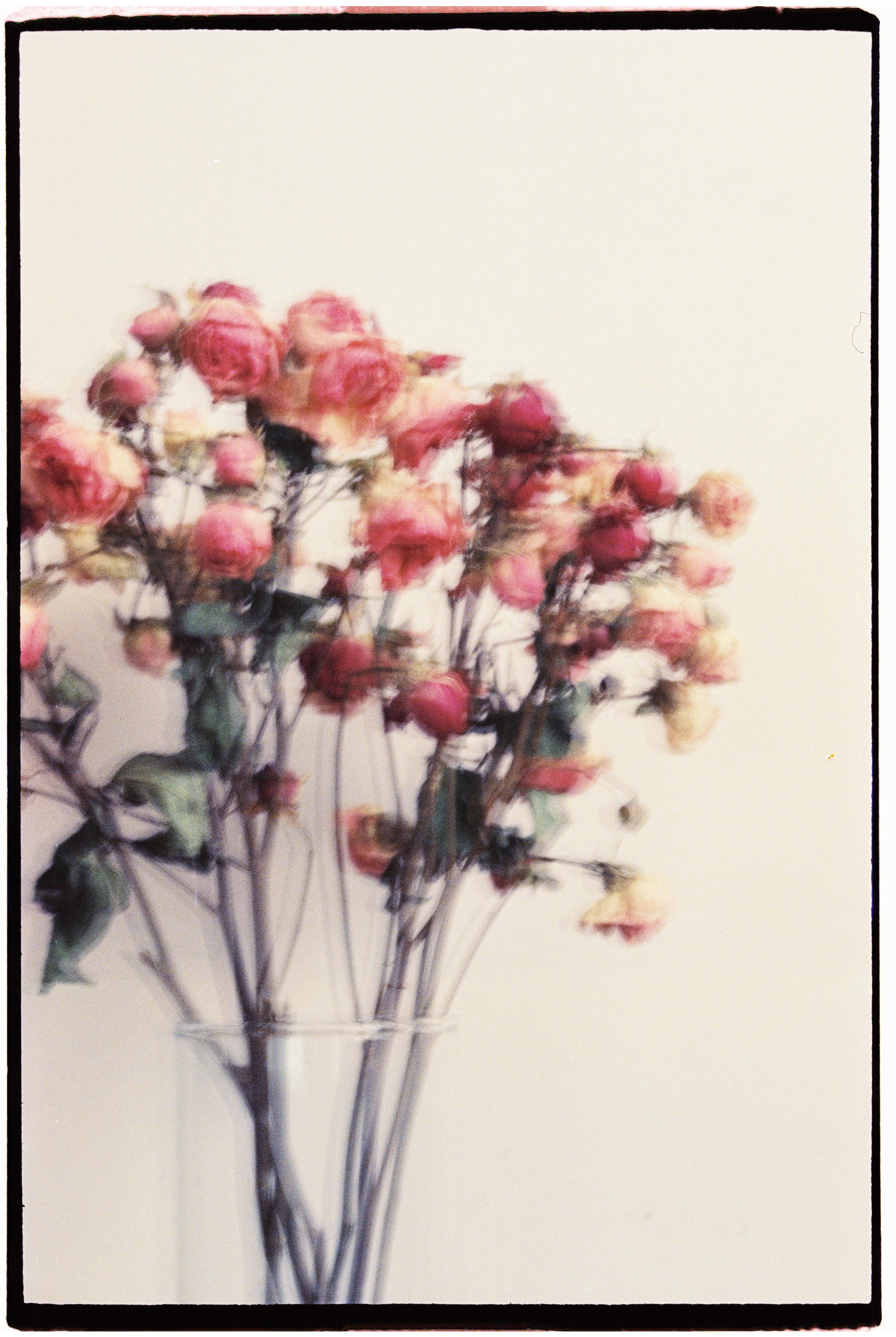 Пленка. Фотограф Дарья Комарова