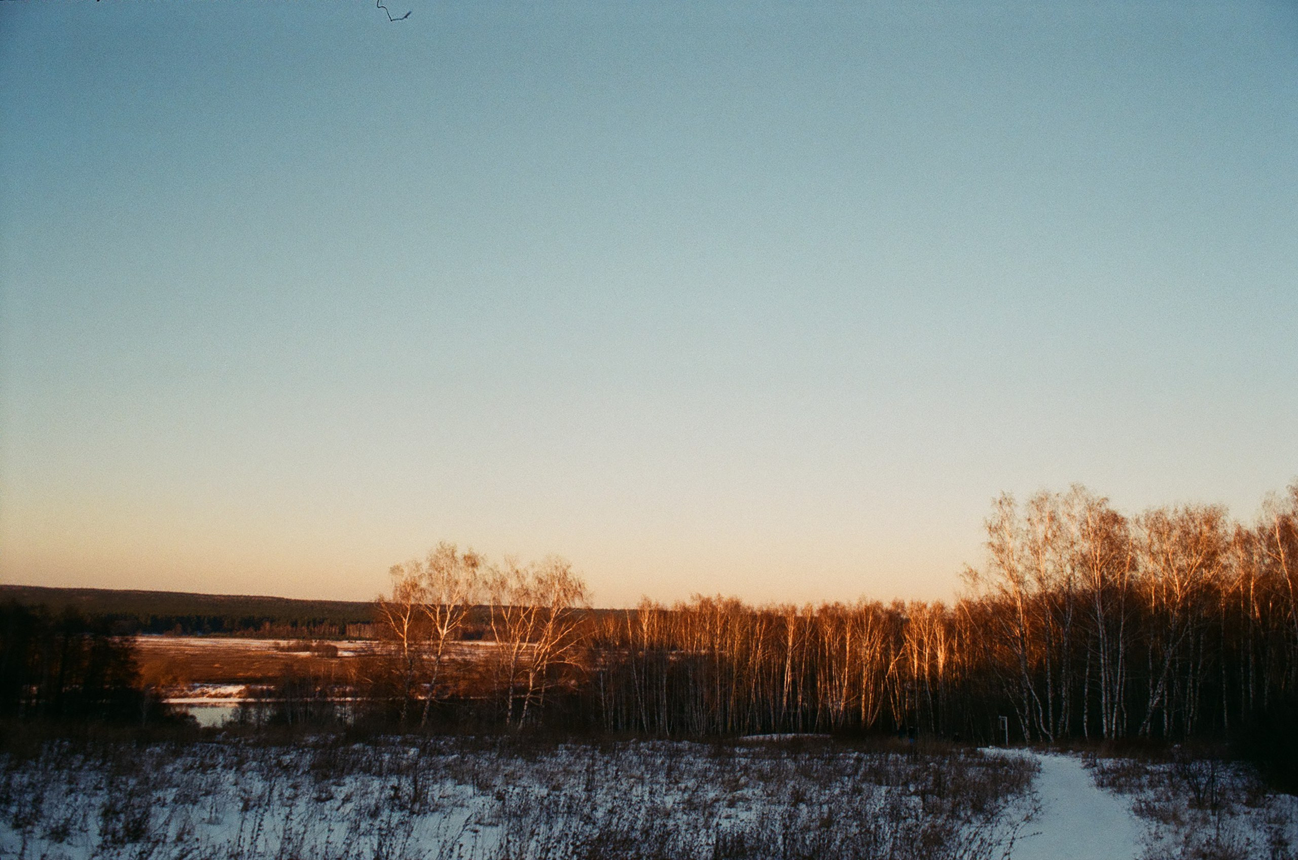 Пленка. Фотограф Дарья Комарова