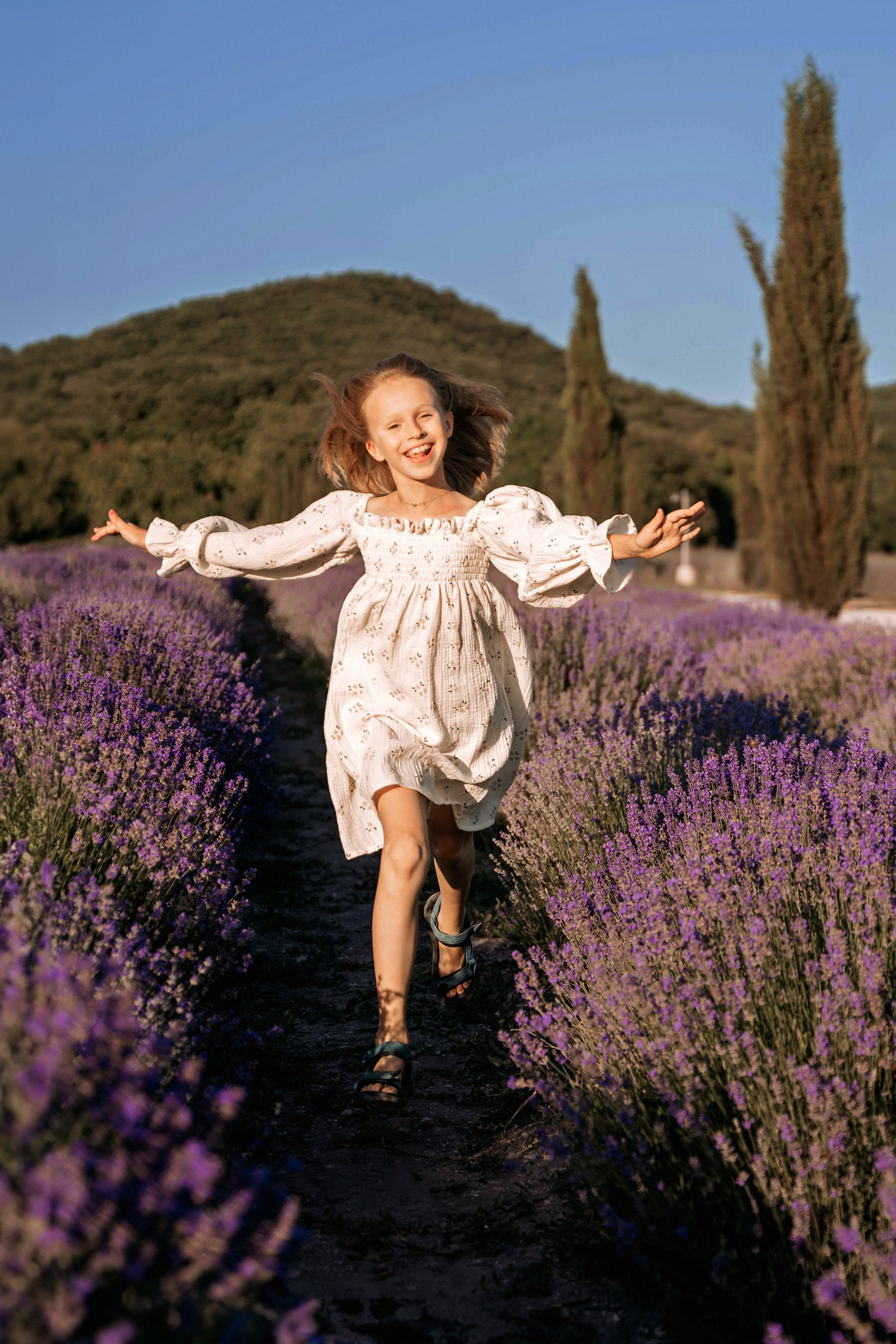 Лаванда. Татьяна Тагель