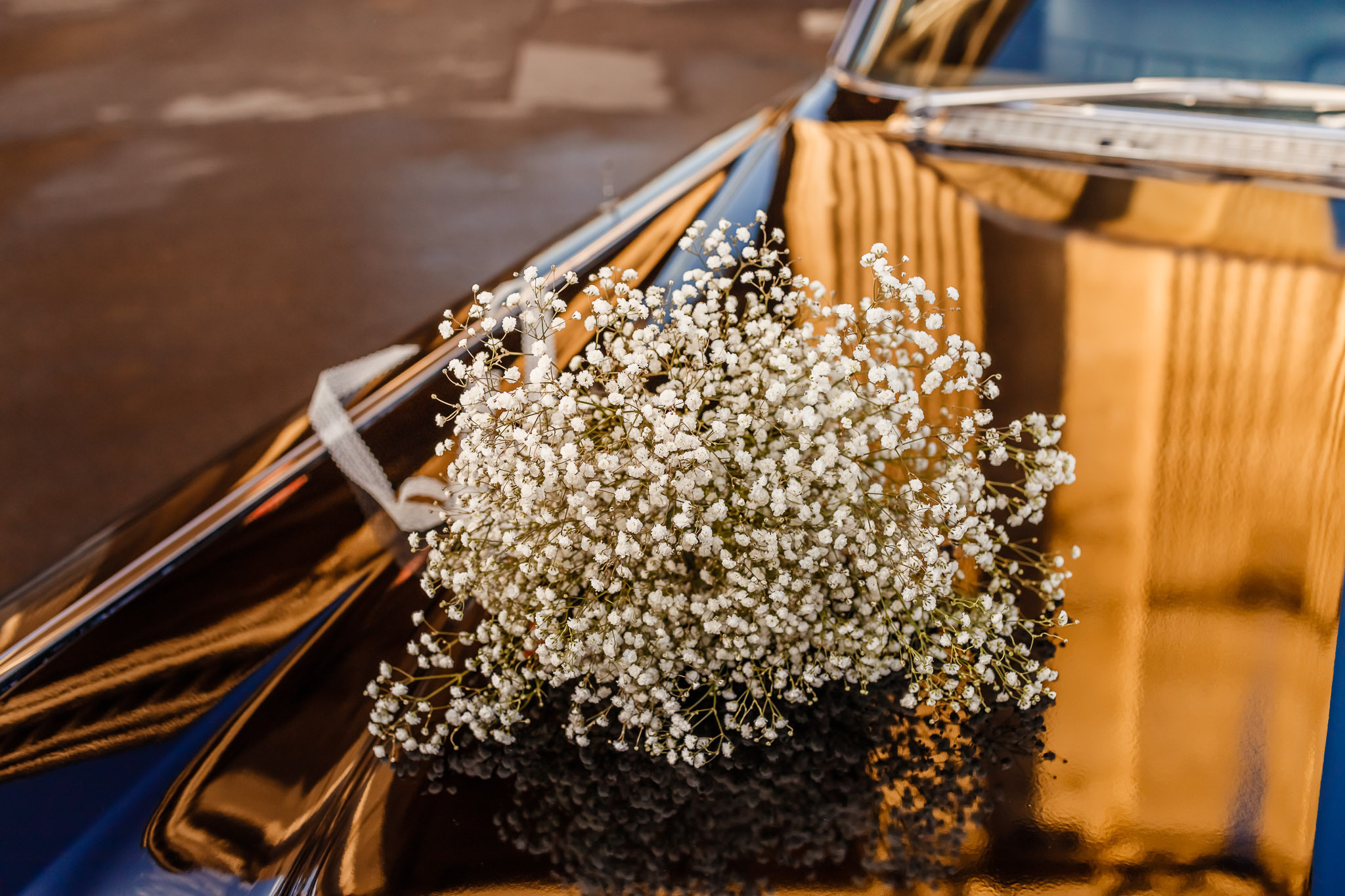 Wedding in Saint Petersburg. Professional family and children’s photographer in Izmir Irina Eron