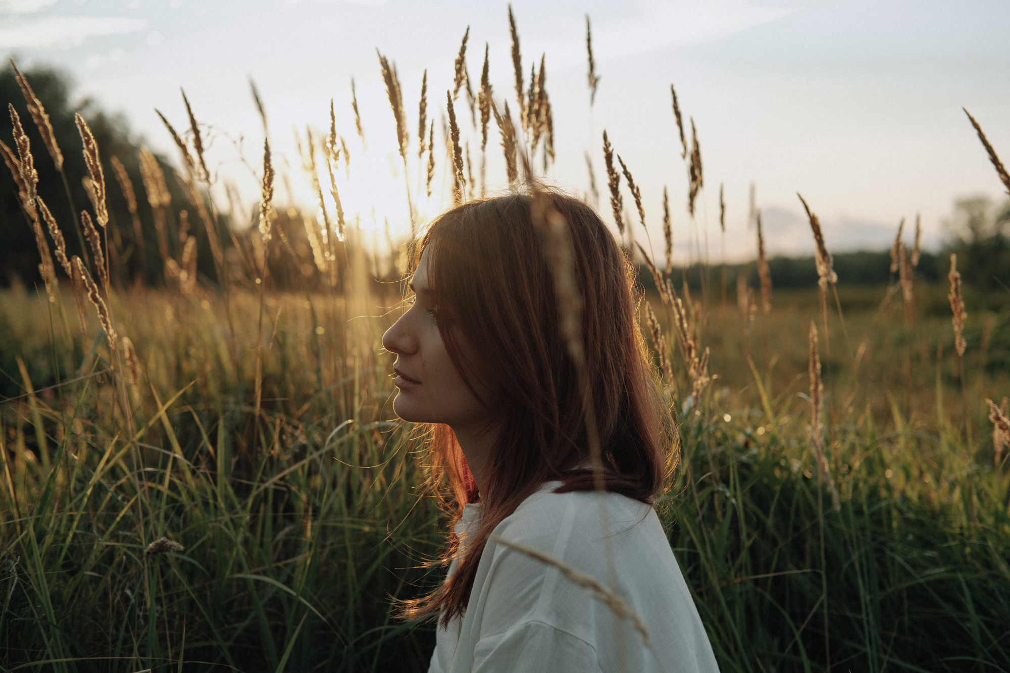 ЕЛИЗАВЕТА. ANNSENSUS