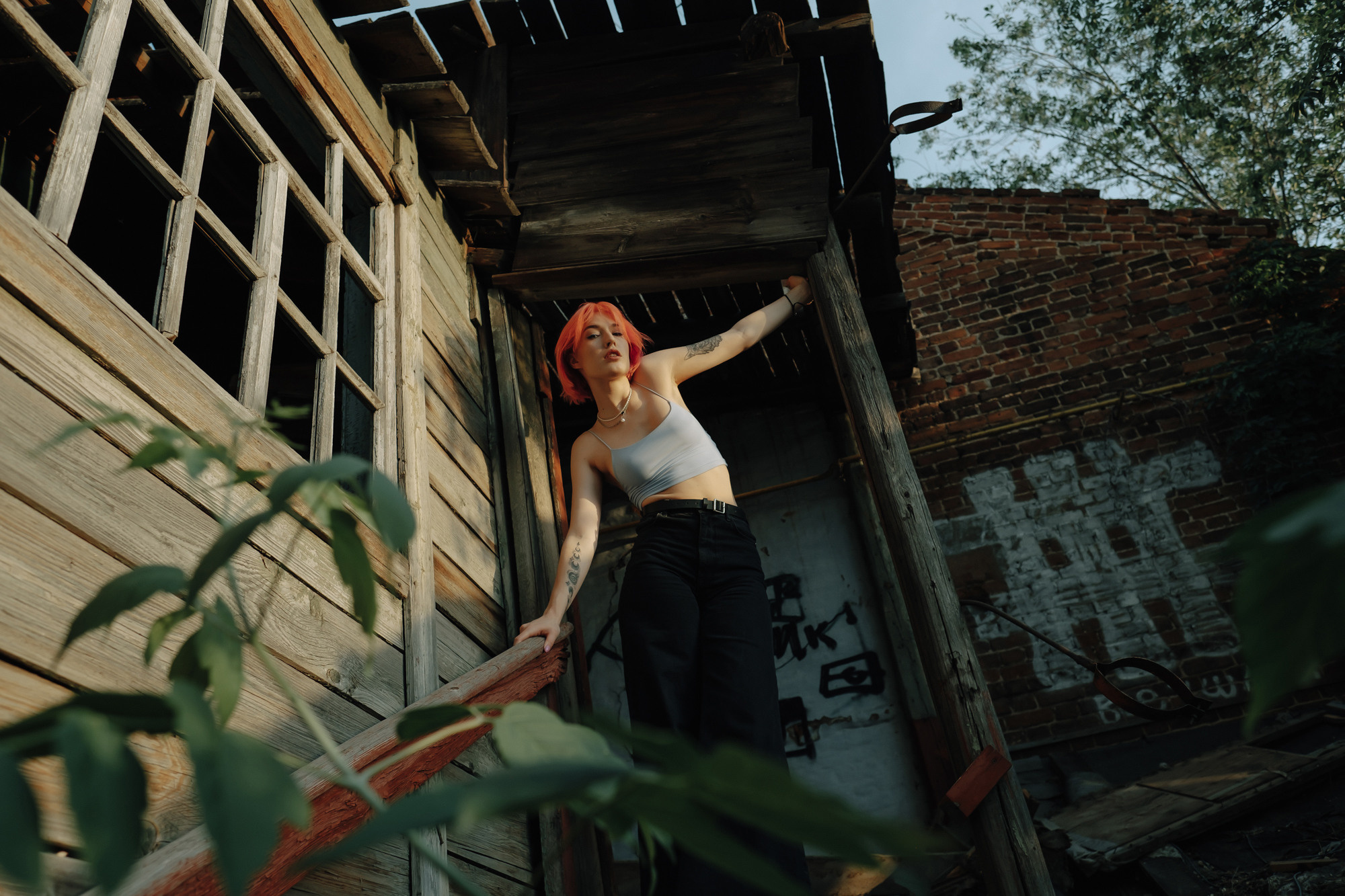 НАСТЯ. ANNSENSUS