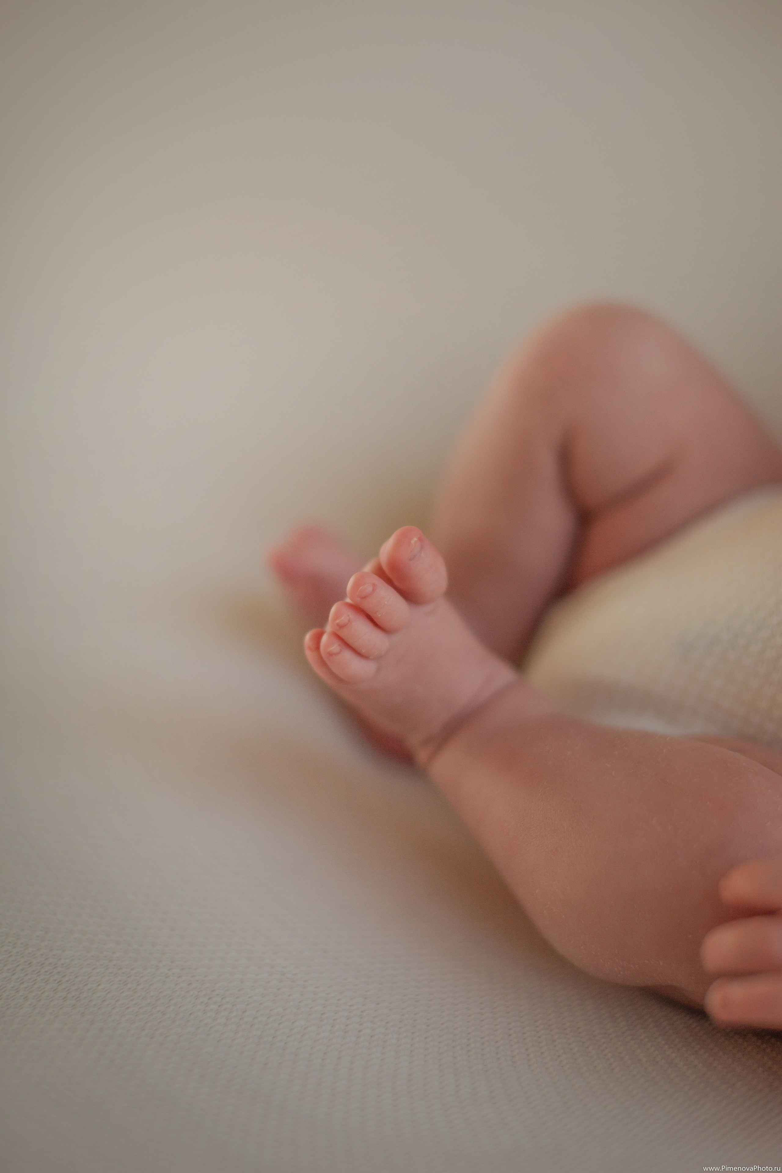 Истории. Семейный и детский фотограф в Петрозаводске