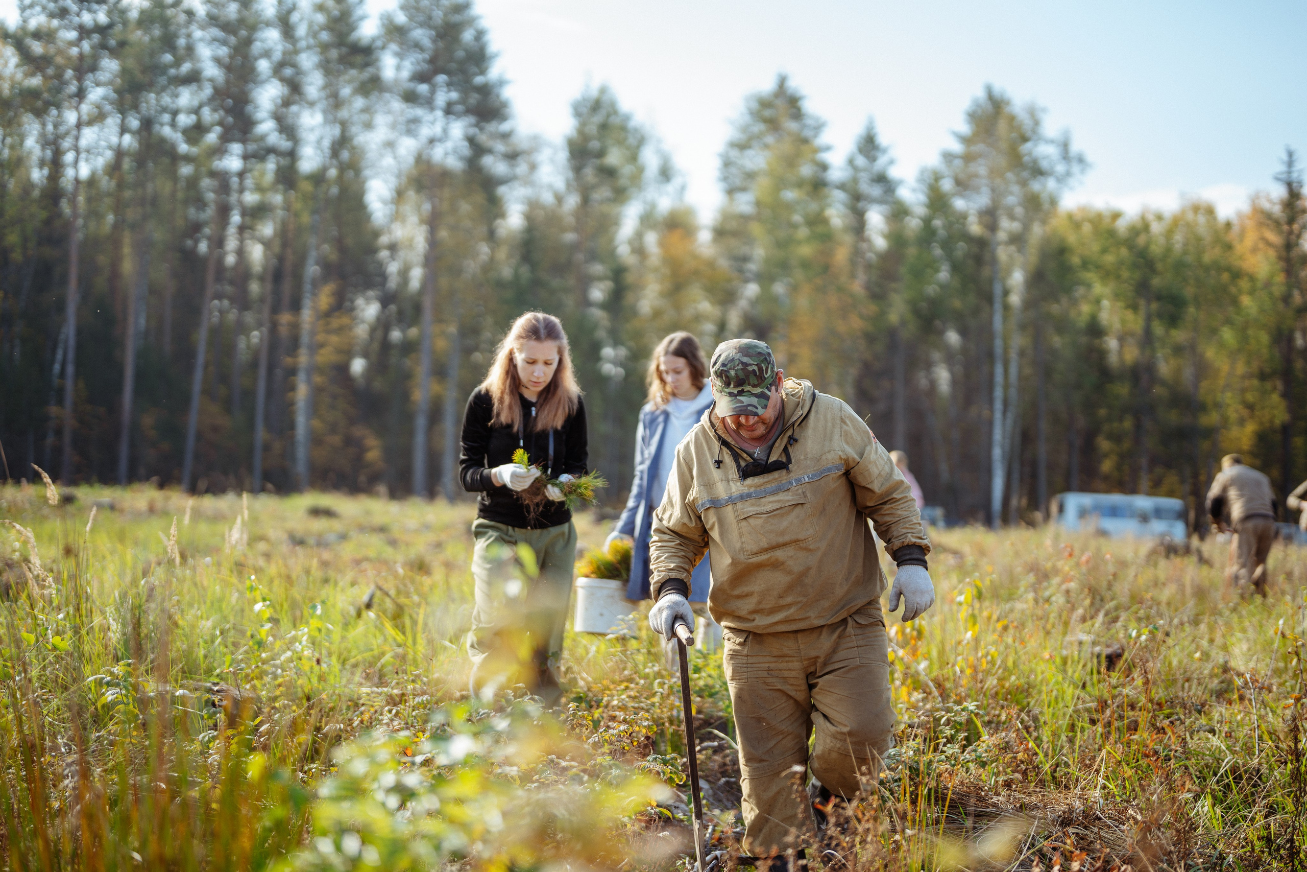 СБЕР · ЭКА · Посадка сеянцев. Владимир Вершинин, тот самый свадебный видеограф