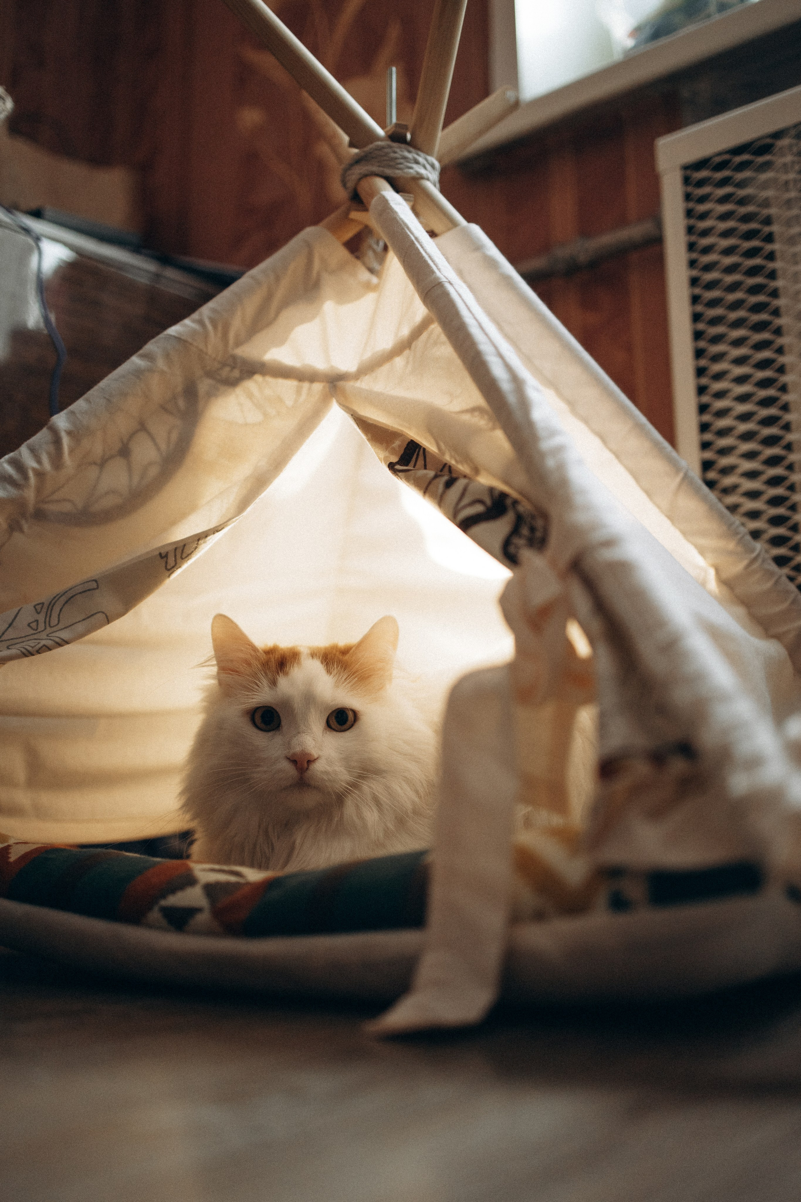 Маша и ее семья. Фотораф — анималист Мария Шистка